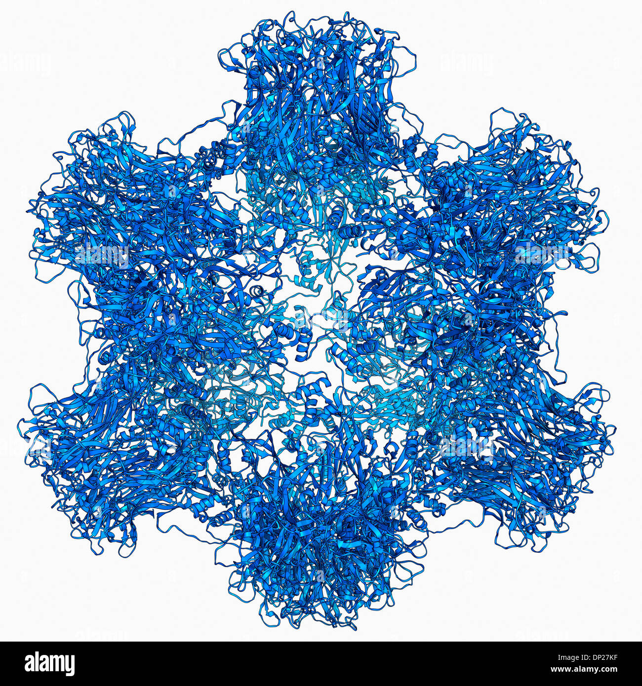 Hpv Cut Out Stock Images & Pictures - Alamy