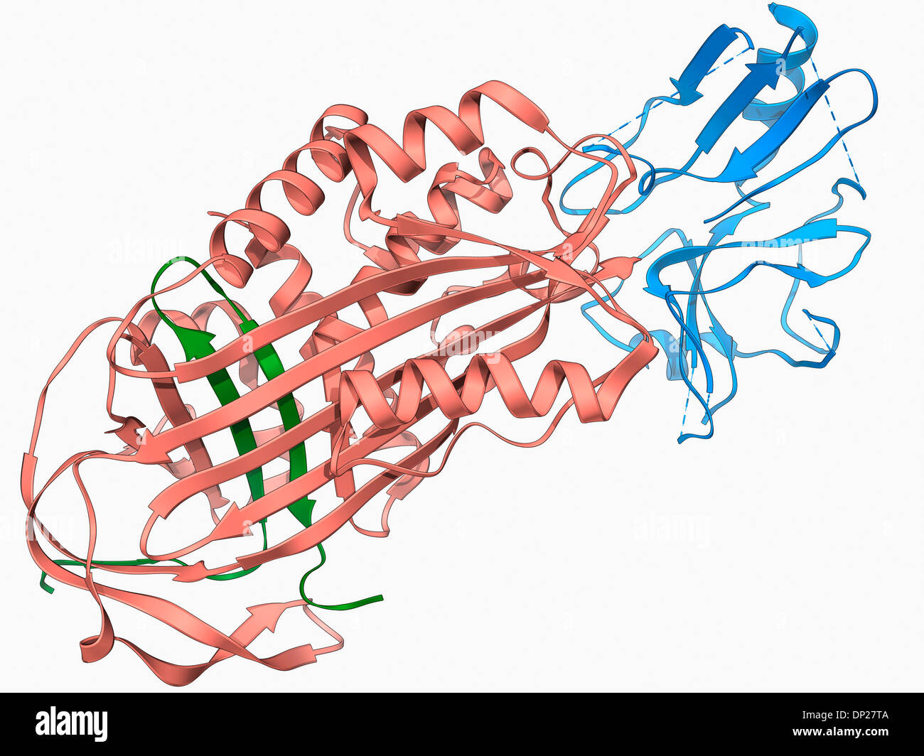 Proteinase inhibitor molecule Stock Photo