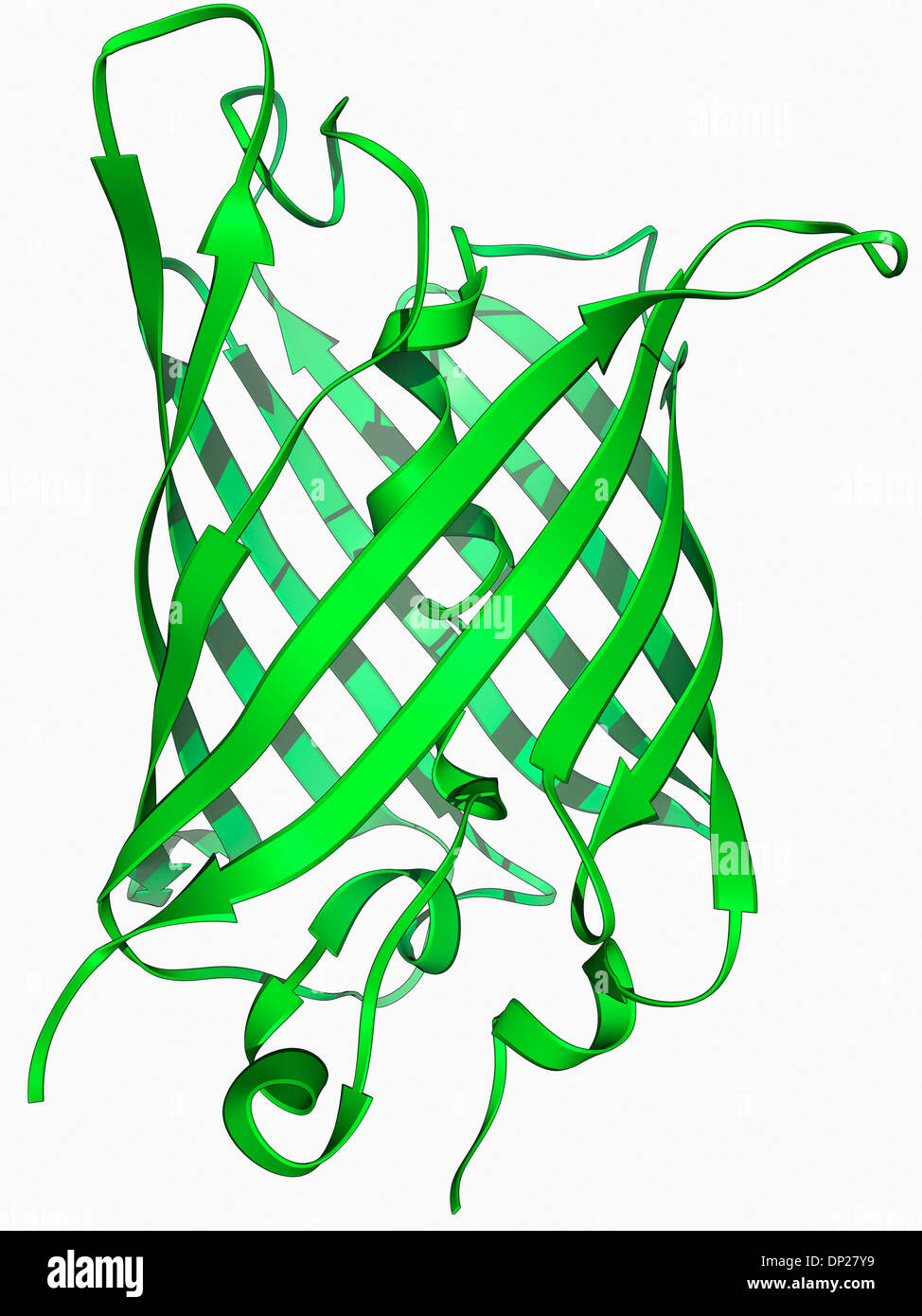 Green fluorescent protein molecule Stock Photo