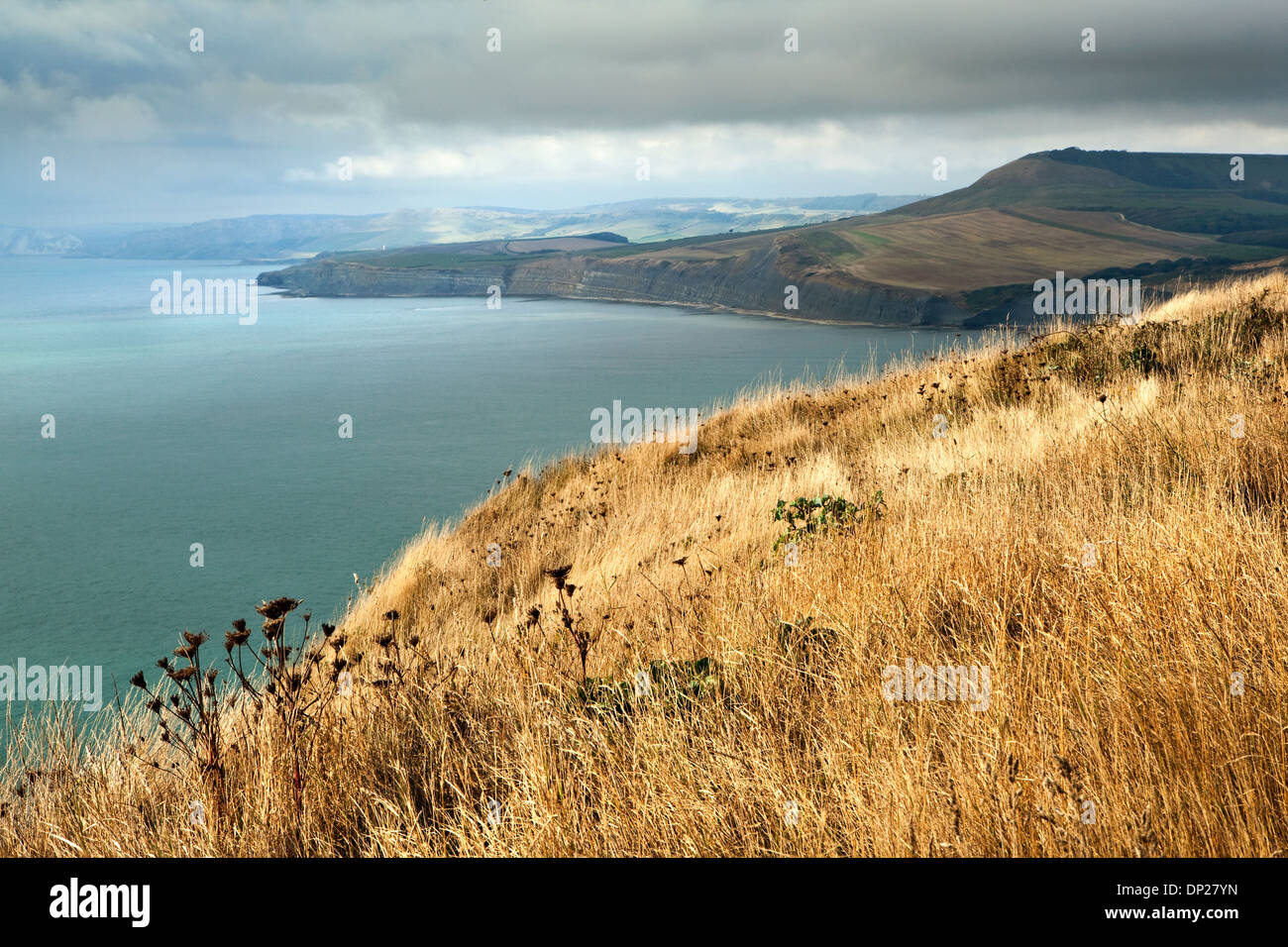 A view from St Aldhelm's Head in Purbeck looking along the Jurassic Coast in Dorset UK towards Kimmeridge Bay. Stock Photo