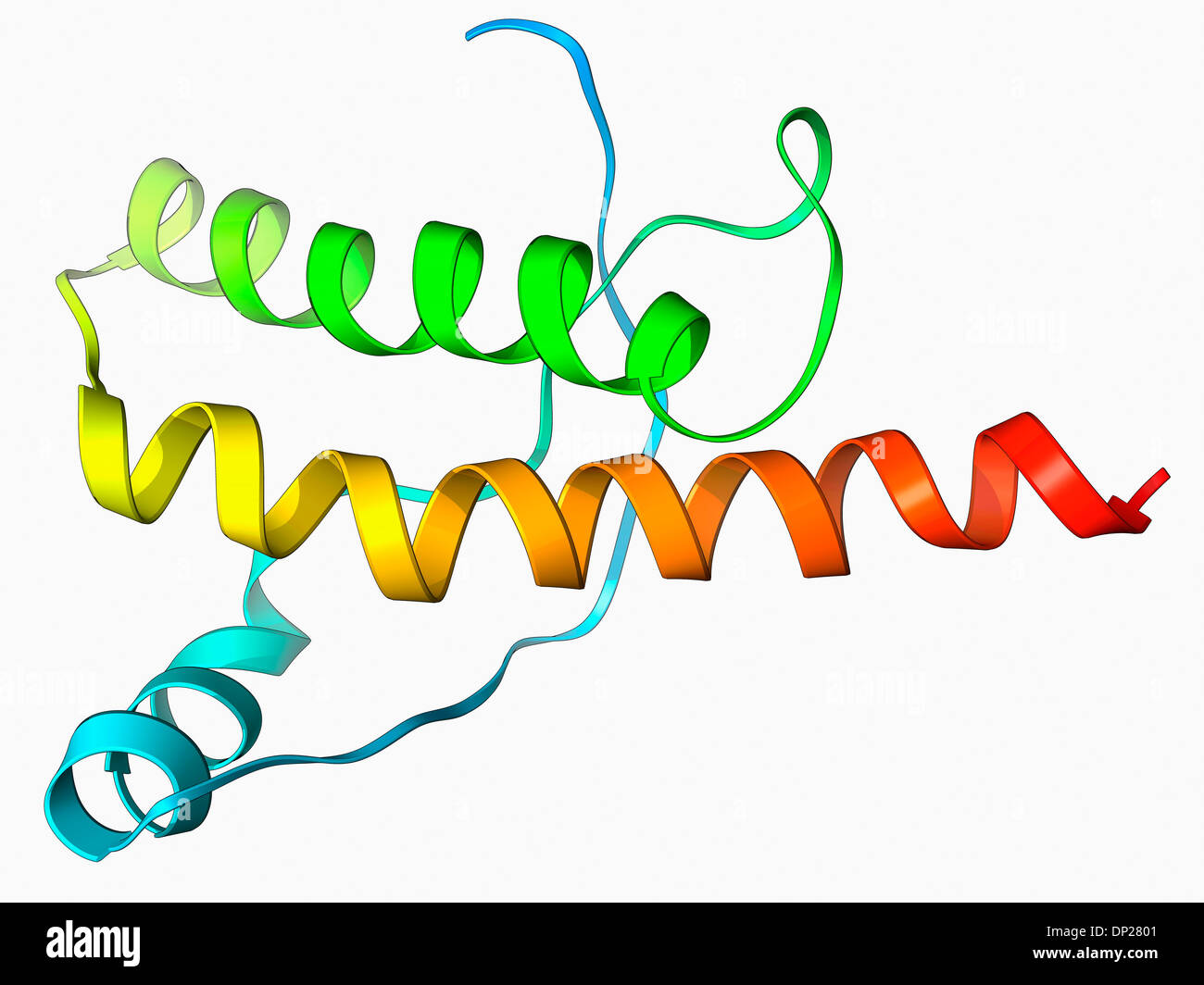 Human prion precursor protein Stock Photo