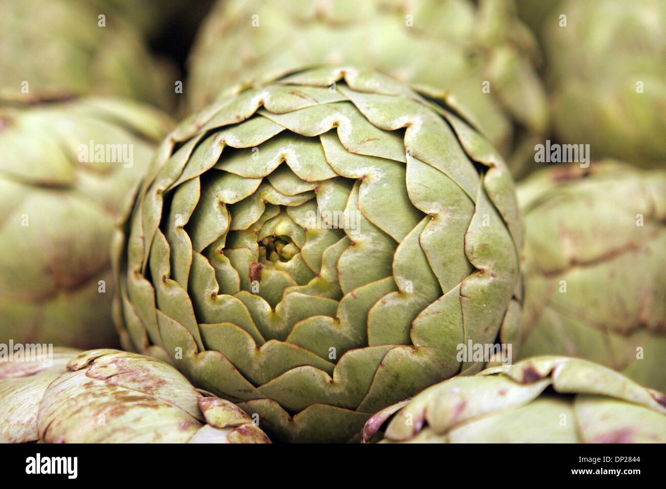 May 20, 2006; Los Angeles, CA, USA; Fresh artichokes for sale at the Farmer's market in Los