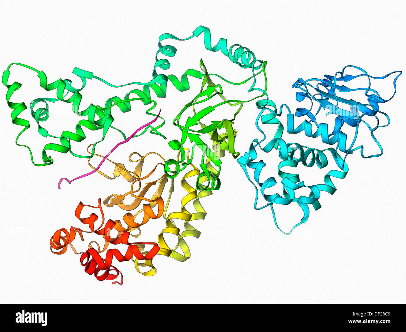 Anthrax lethal factor molecule Stock Photo