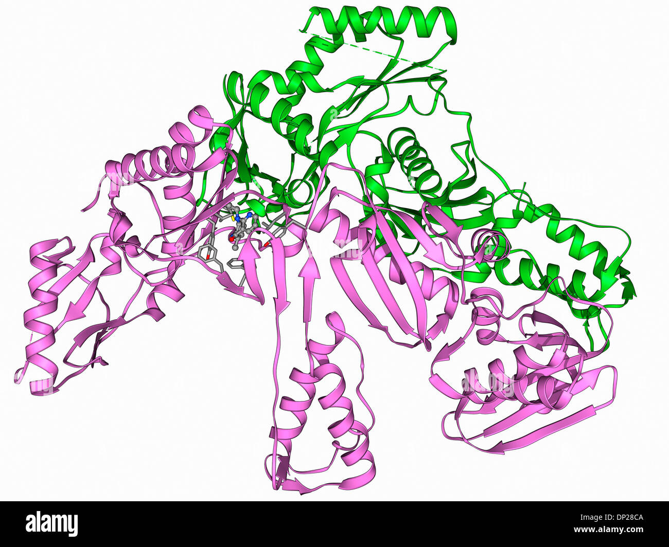 HIV reverse transcription enzyme Stock Photo - Alamy