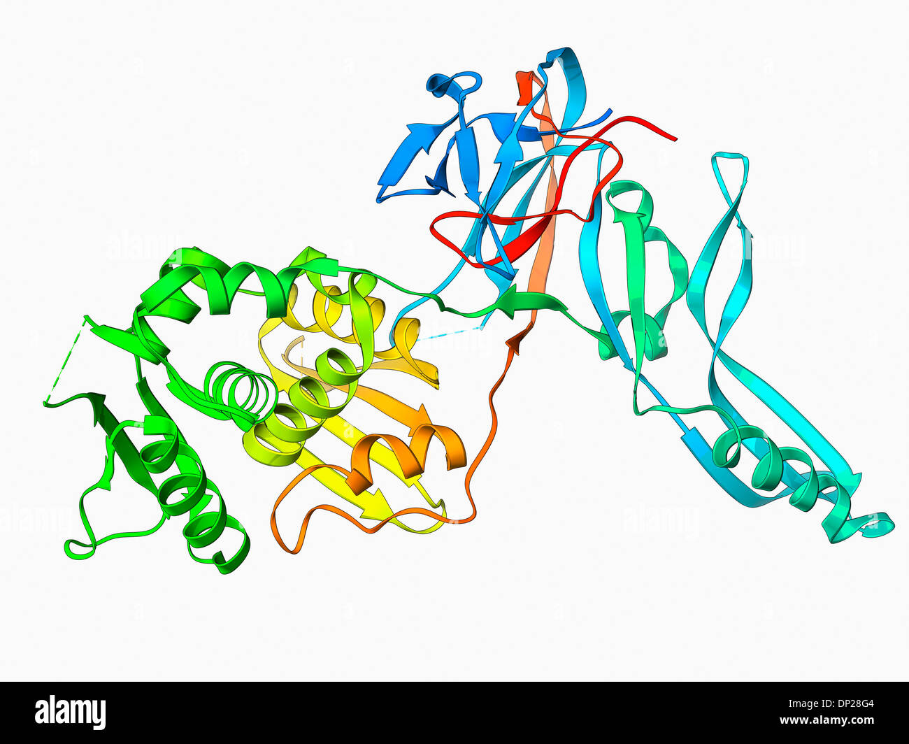 VMA-1 derived endonuclease molecule Stock Photo
