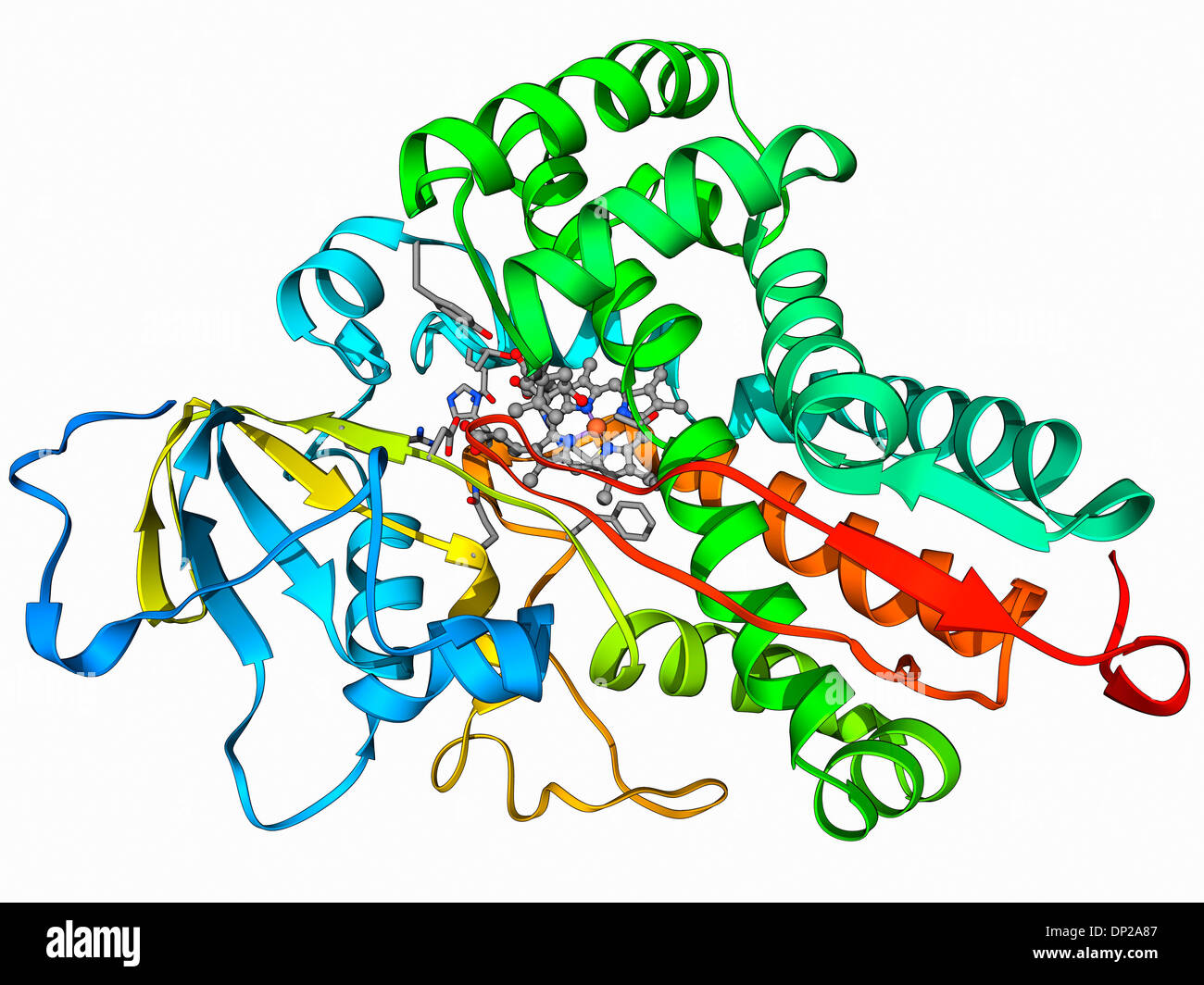 Cytochrome p450 stock photo alamy