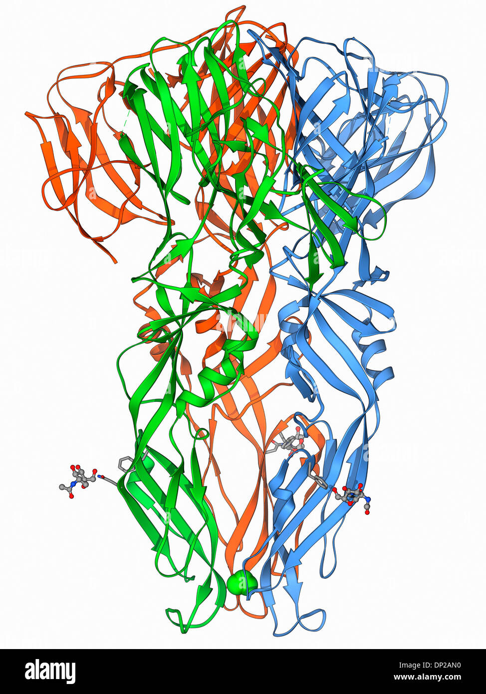 Dengue virus surface protein molecule Stock Photo