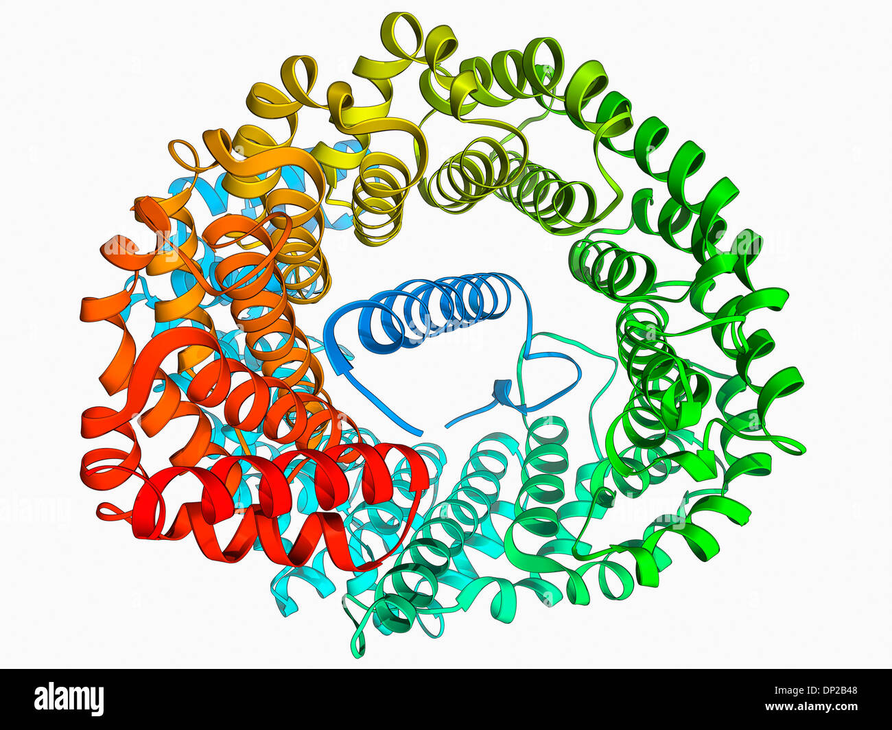 Importin heterodimer protein Stock Photo
