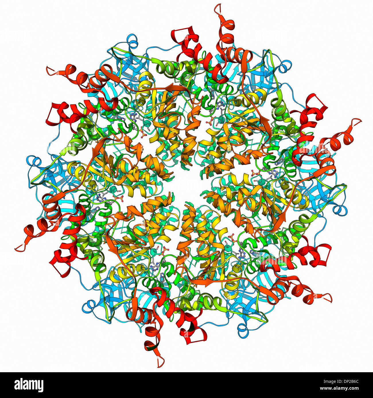 Murine p97 protein molecule Stock Photo