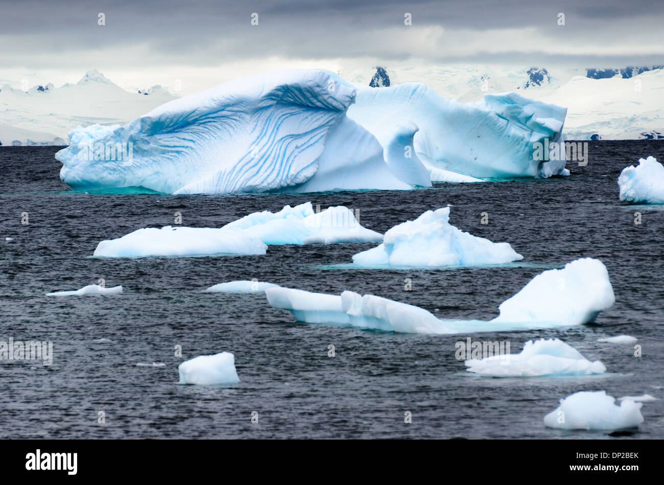 ANTARCTICA - A series of small and medium-sized bue icebergs float in ...