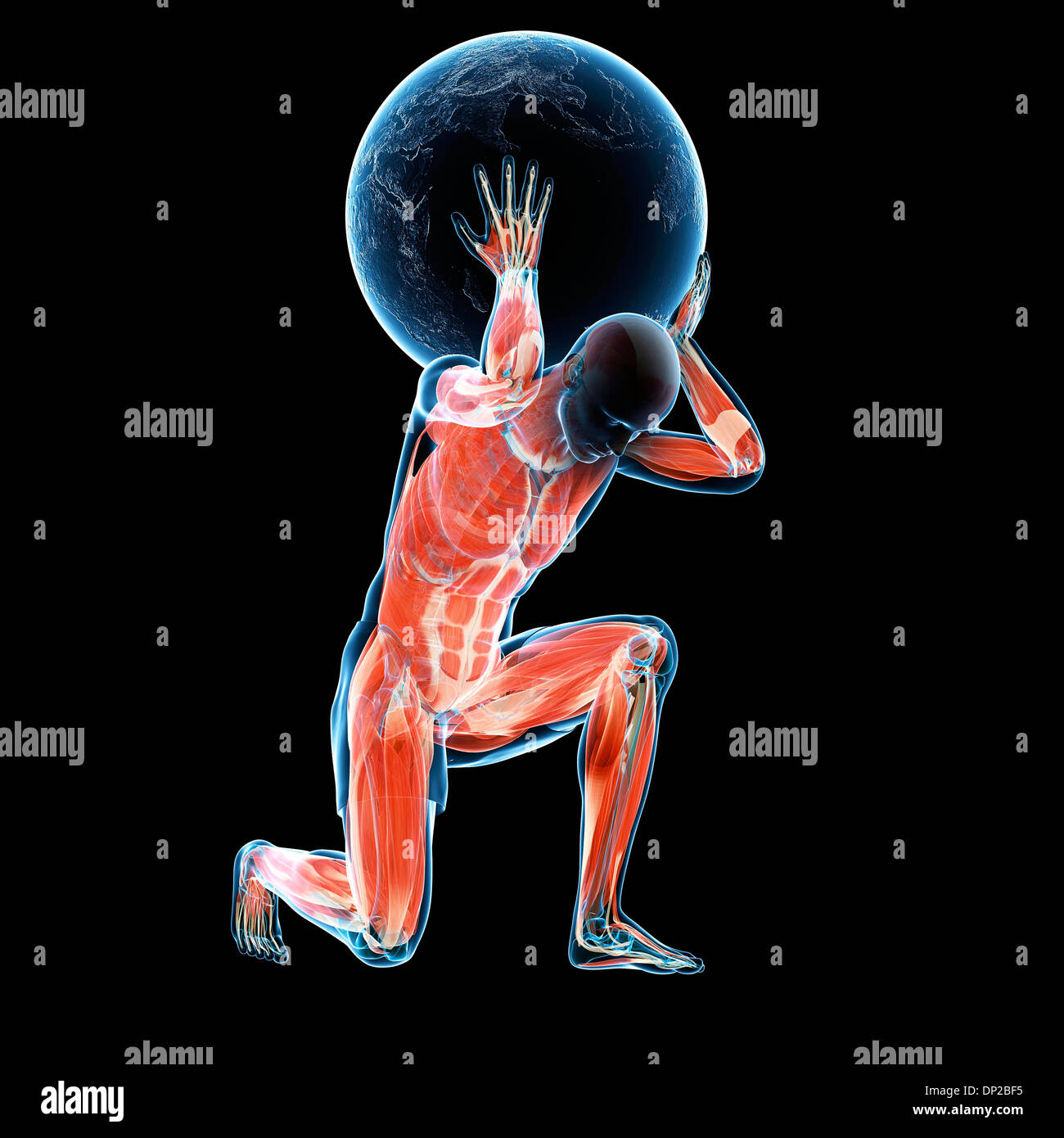 Atlas lifting globe artwork hi-res stock photography and images - Alamy
