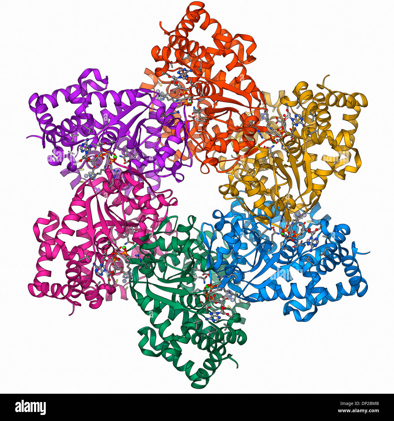 DNA helicase molecule Stock Photo