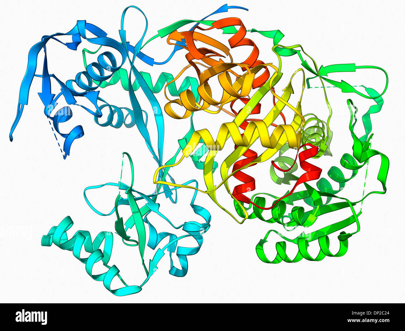 Argonaute protein molecule Stock Photo