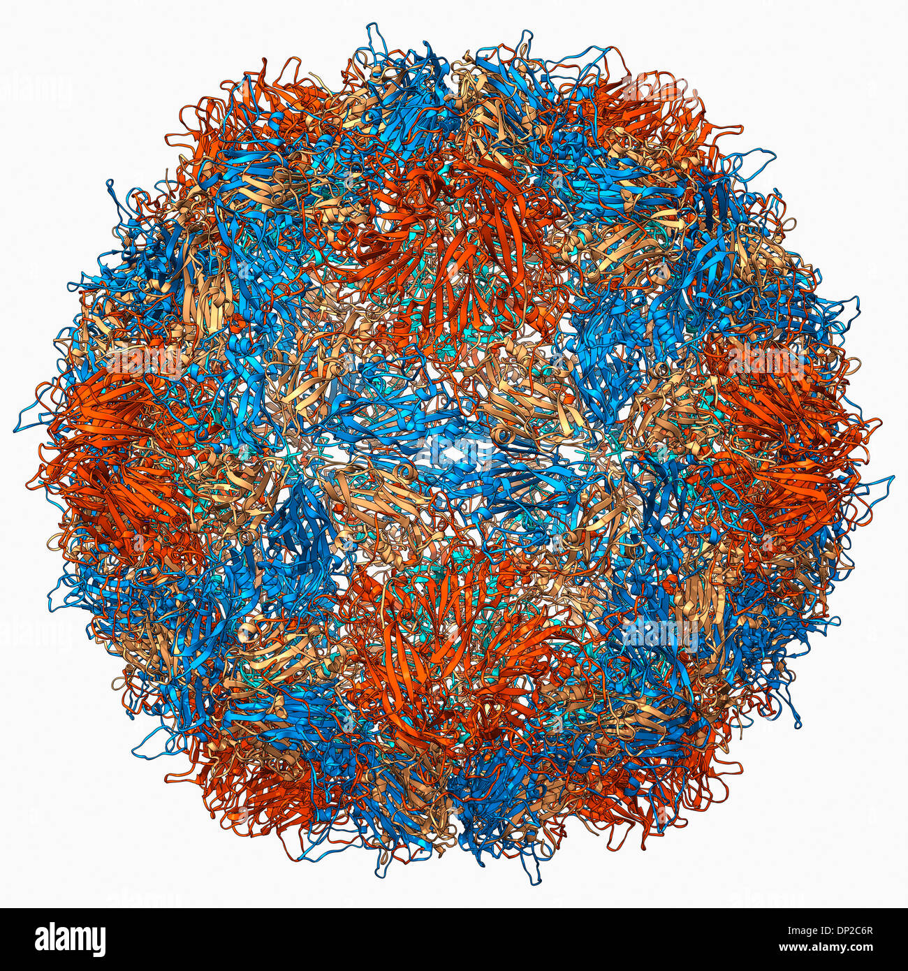 Poliovirus type 3 capsid, molecular model Stock Photo