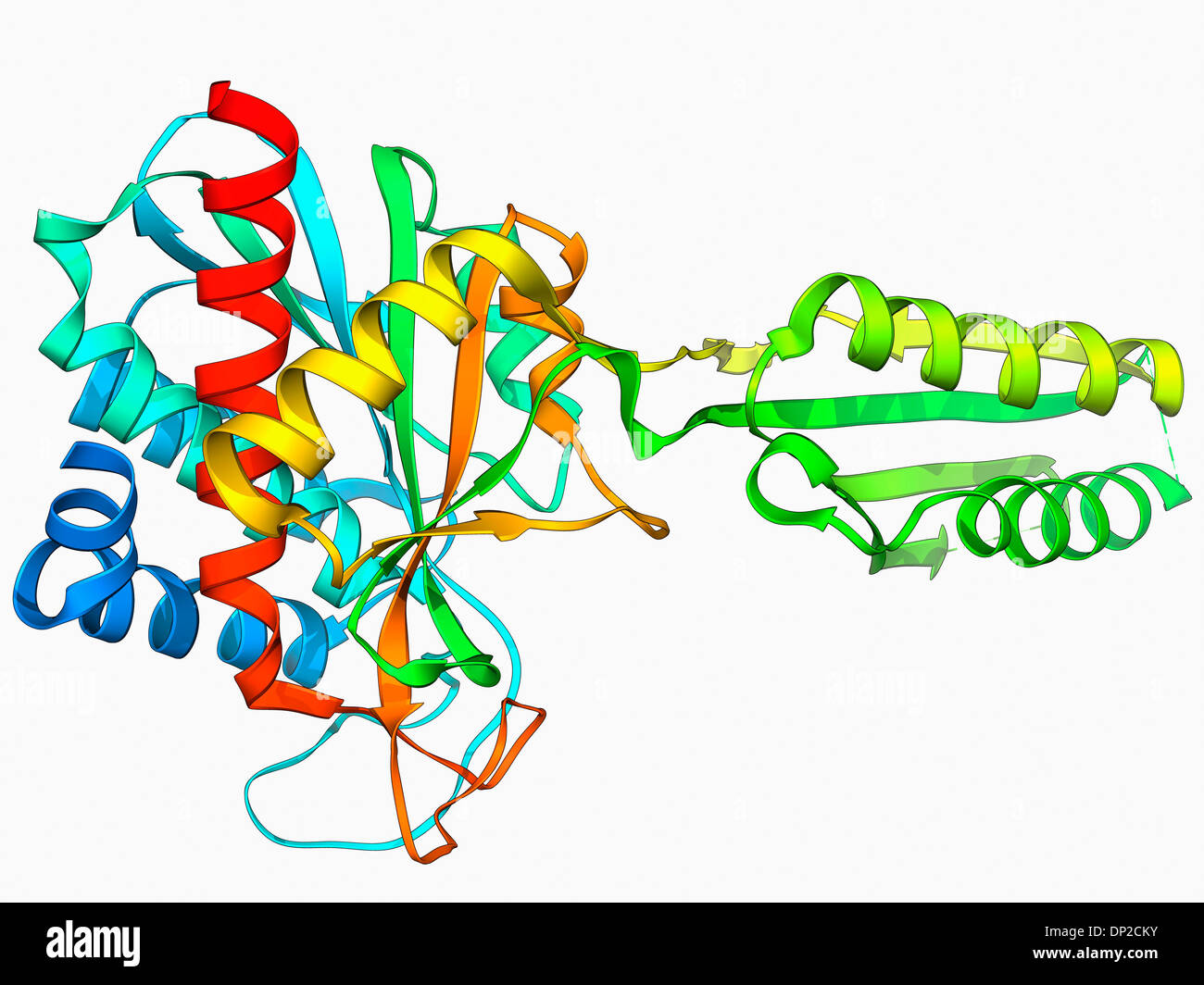 Plant hormone regulator, molecular model Stock Photo