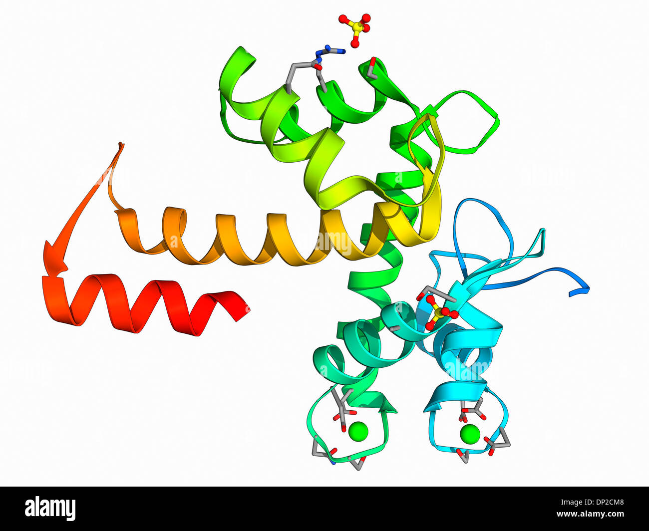 Programmed cell death protein 6 molecule Stock Photo