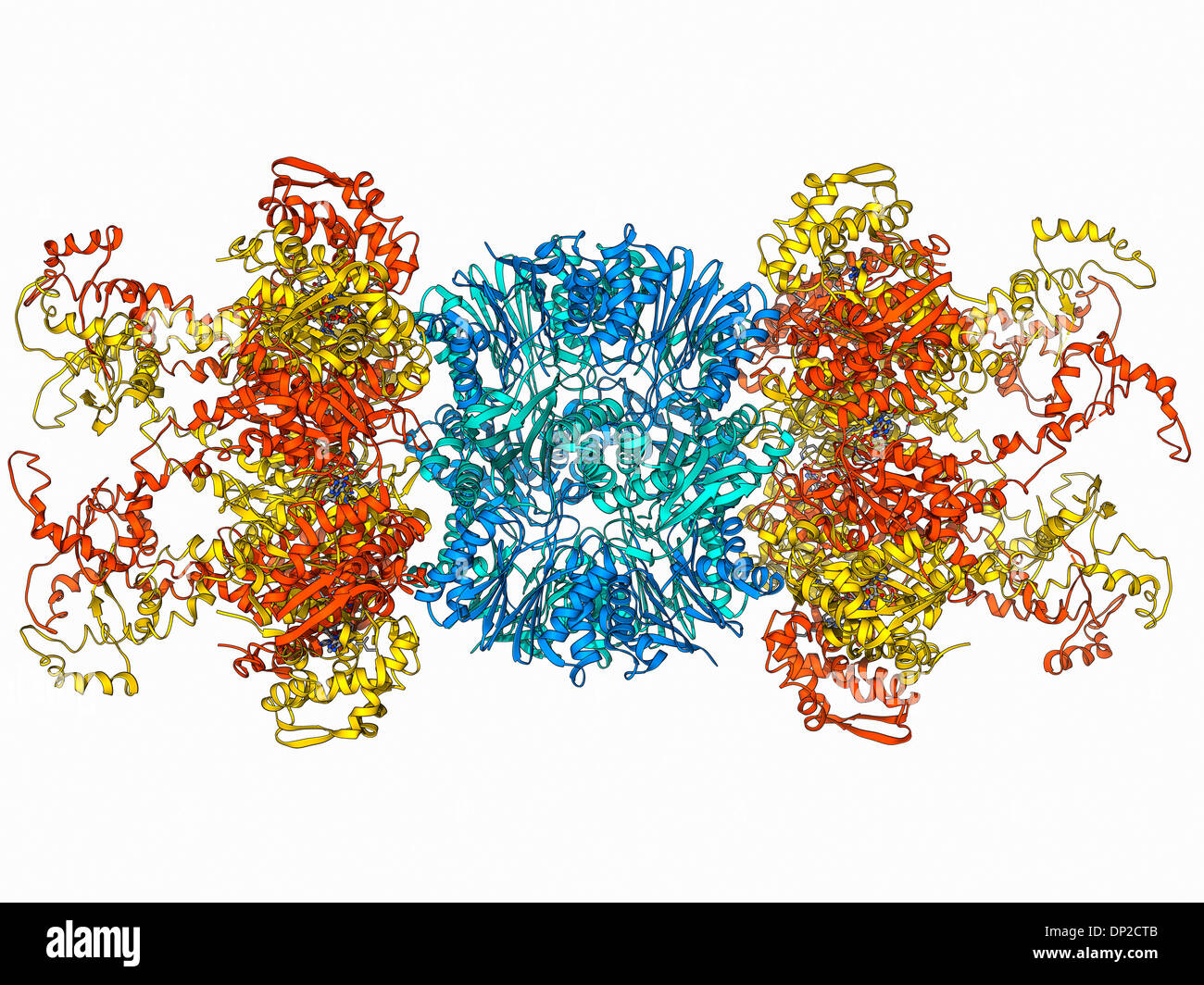 ATP-dependent protease molecule Stock Photo