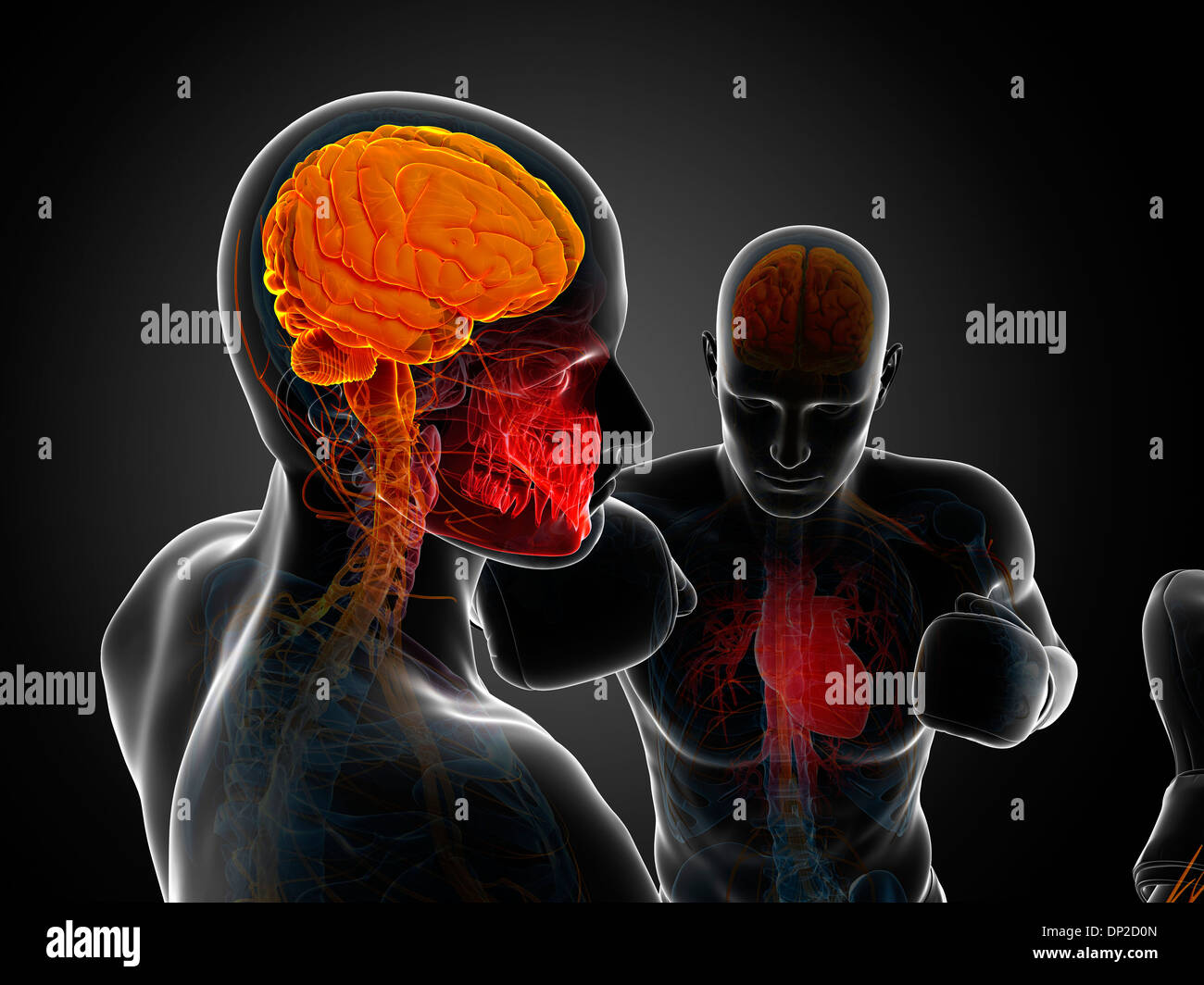 Boxing match, artwork Stock Photo - Alamy