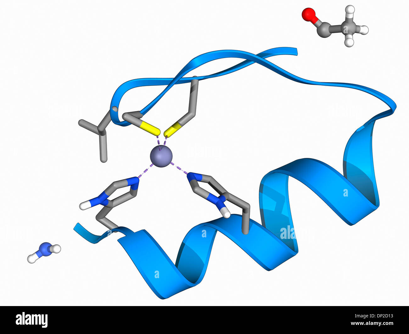 Zinc finger molecule Stock Photo Alamy