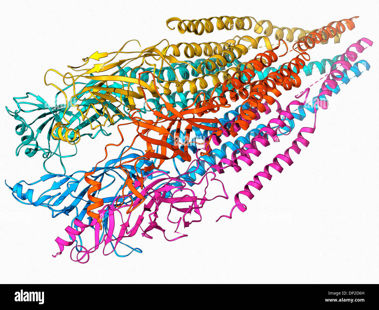 Acetylcholine receptor molecule Stock Photo
