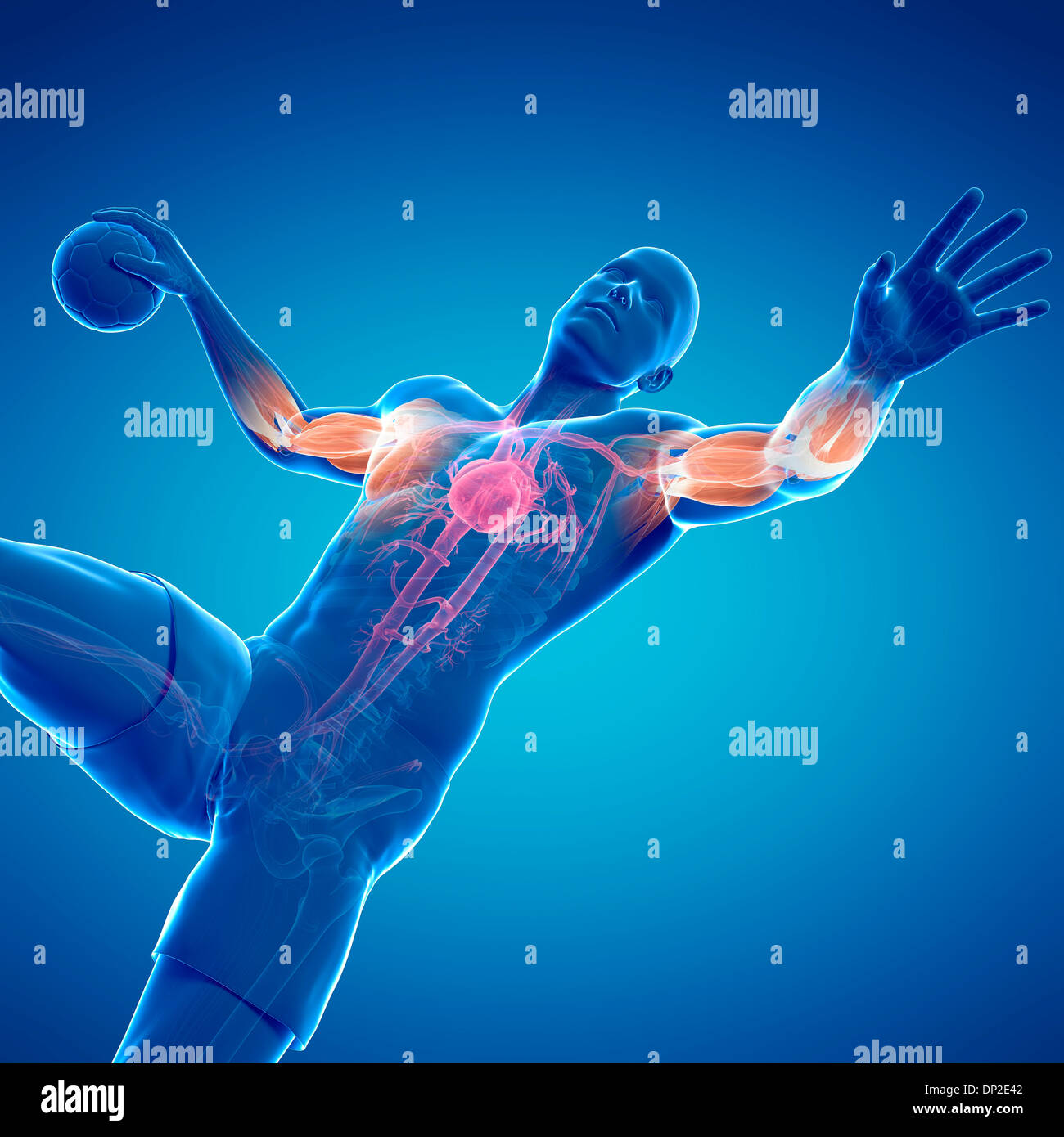 The Anatomy of the Double Save