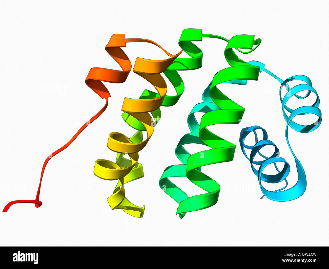 Programmed cell death protein molecule Stock Photo