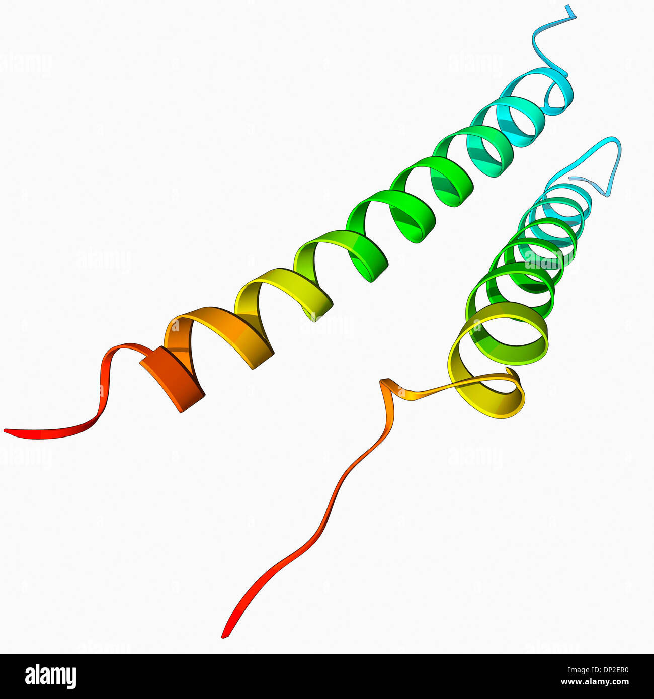Integrin transmembrane domain Stock Photo