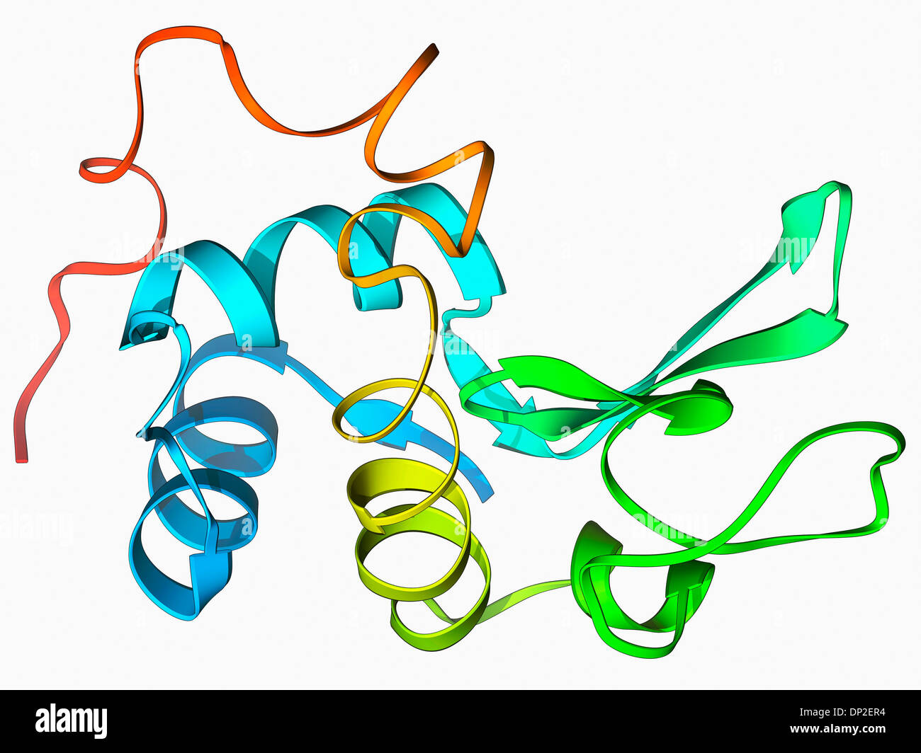 Lysozyme protein Cut Out Stock Images & Pictures Alamy