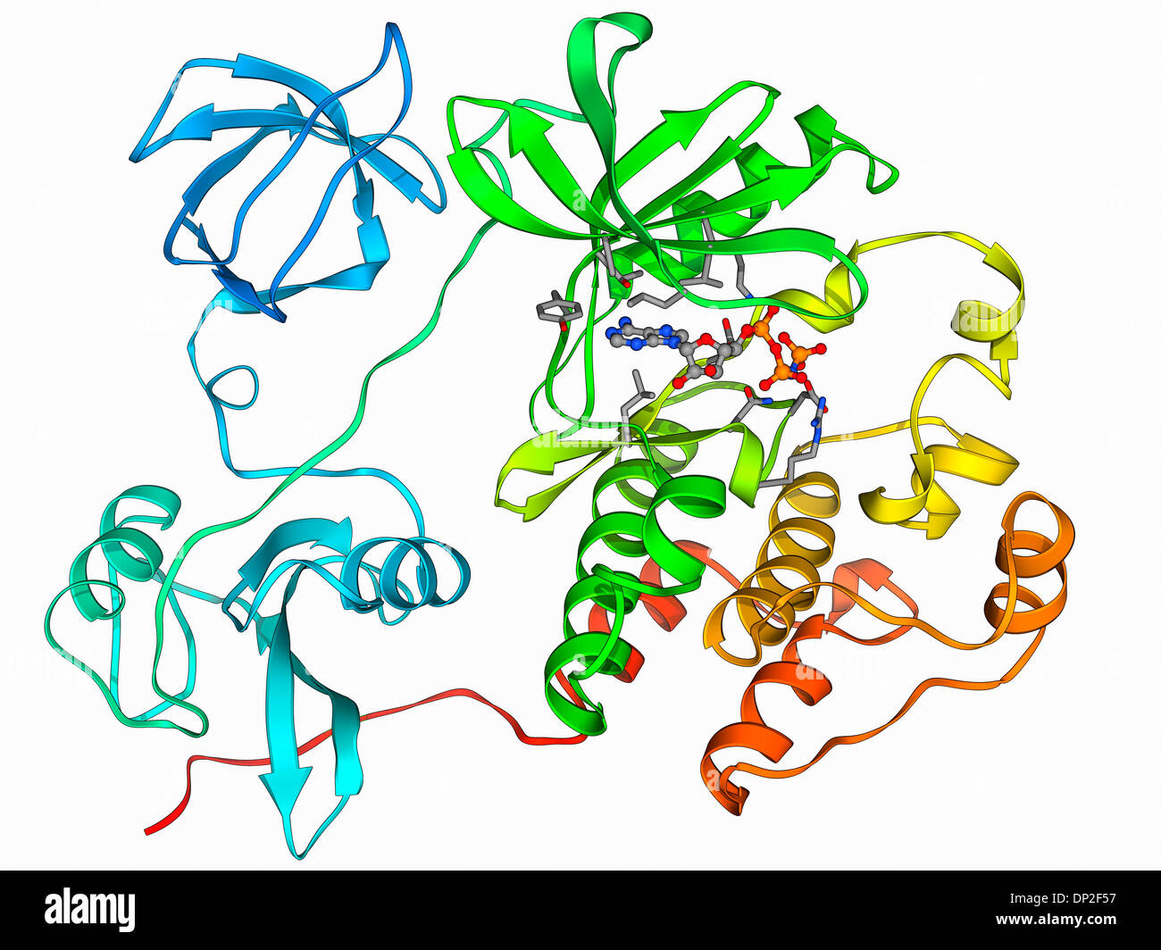 Src protein molecule Stock Photo