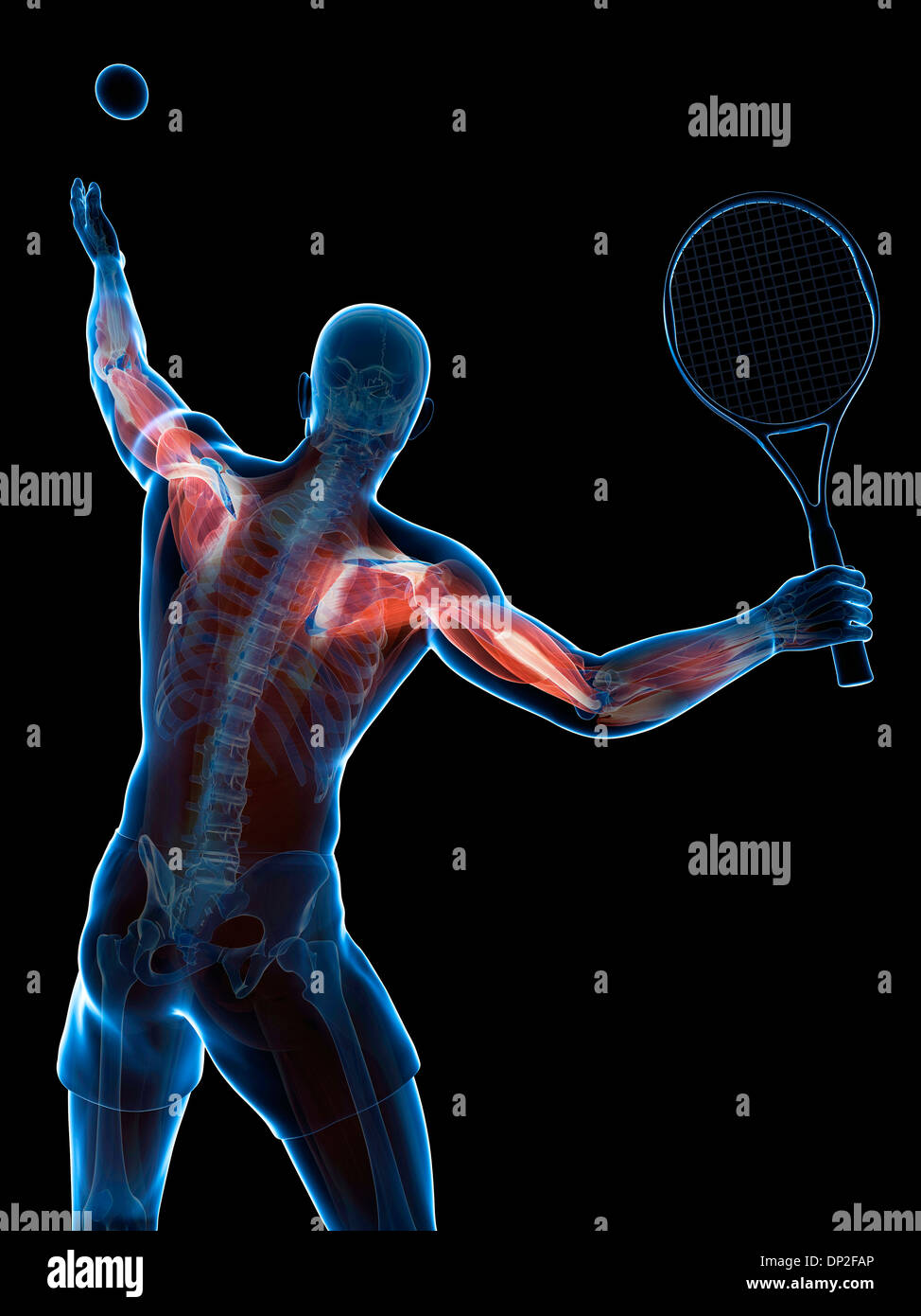 Tennis player artwork hi-res stock photography and images - Alamy