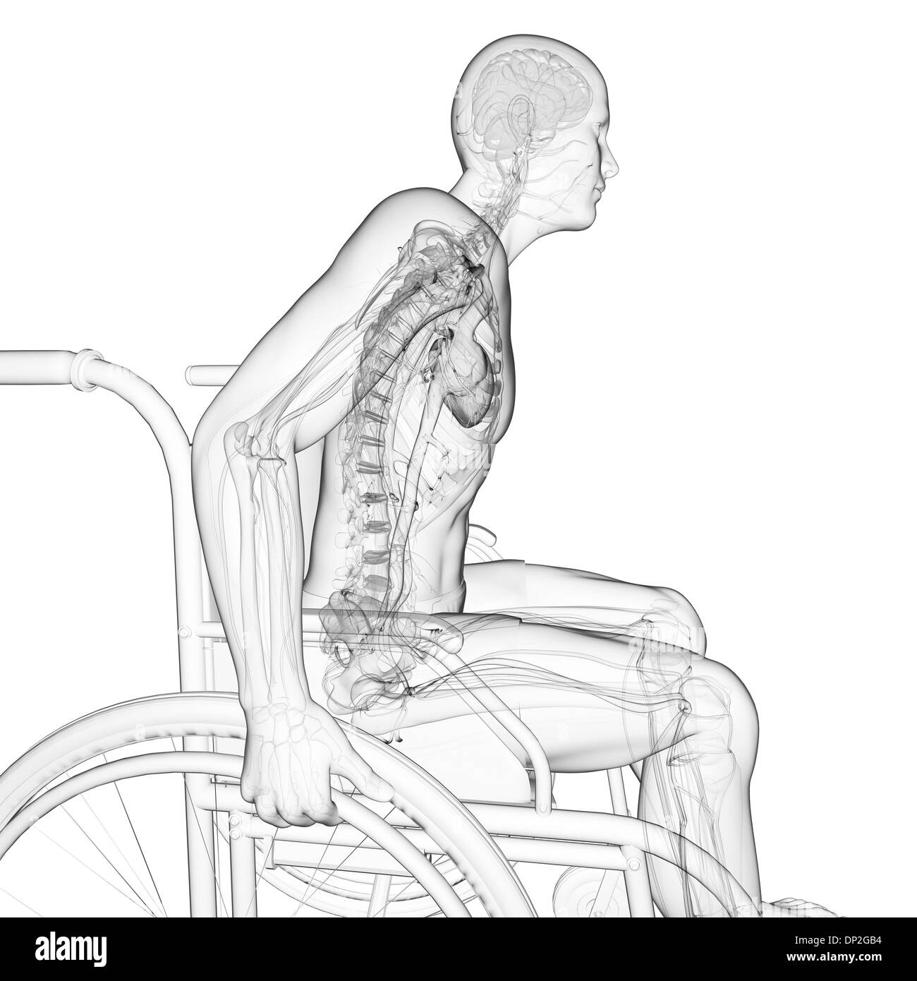 Man in a wheelchair, artwork Stock Photo