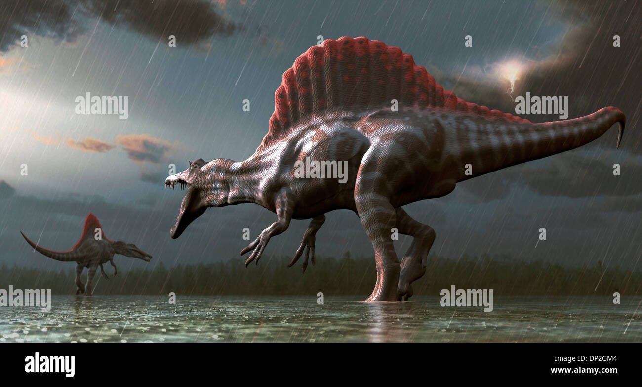 Artwork of a spinosaurus dinosaur Stock Photo