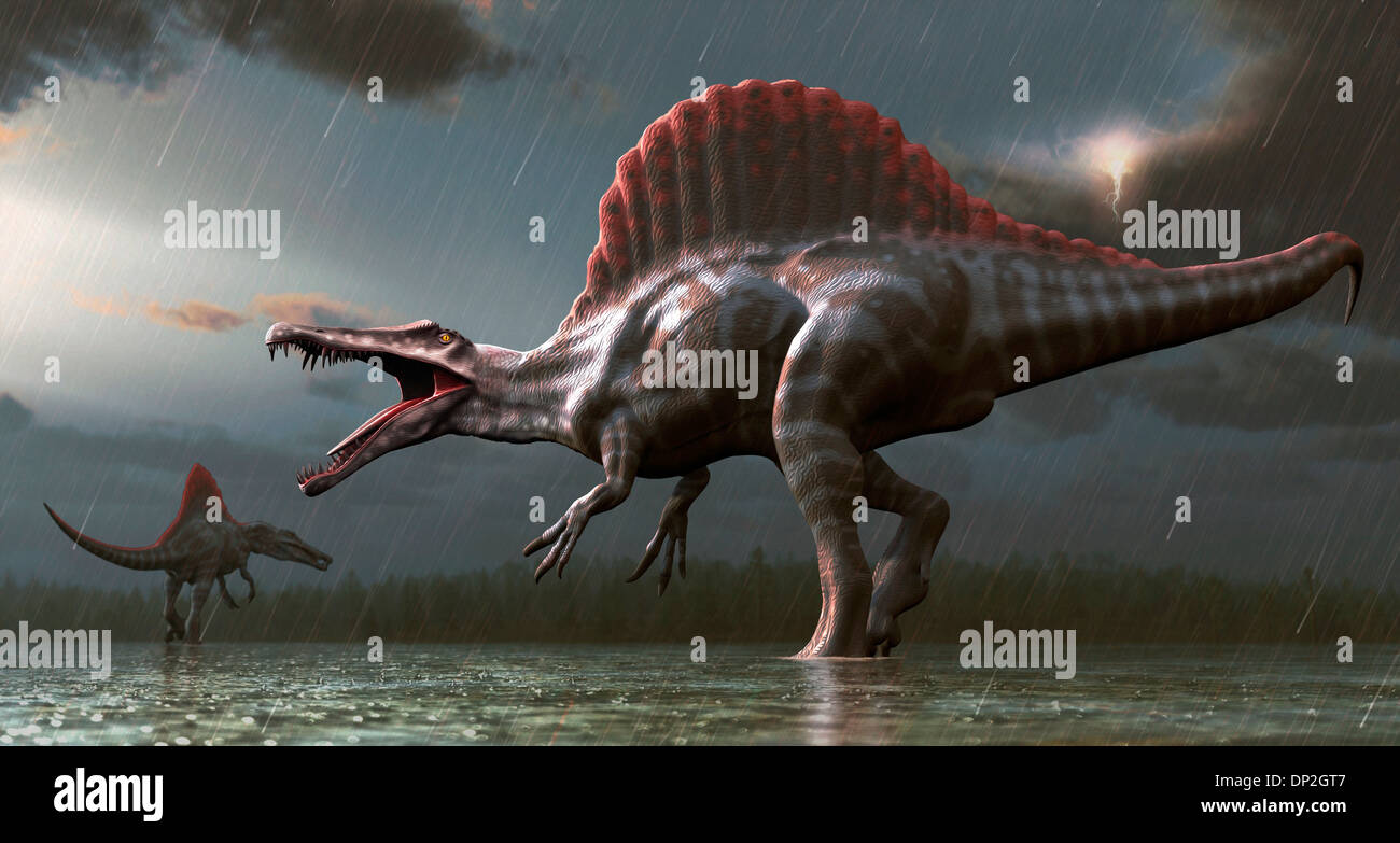 Artwork of a spinosaurus dinosaur Stock Photo