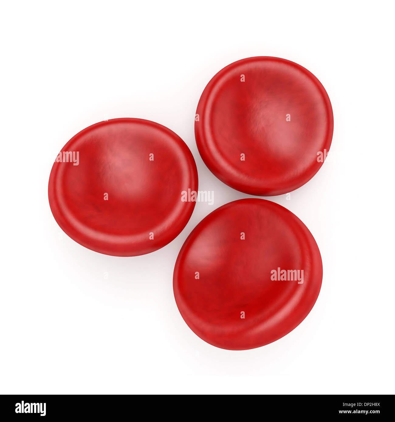Red blood cells hires stock photography and images Alamy