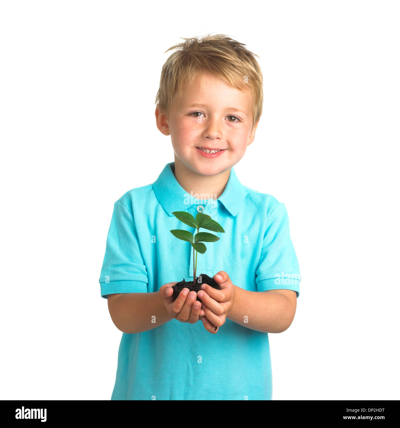 Boy holding seedling Stock Photo
