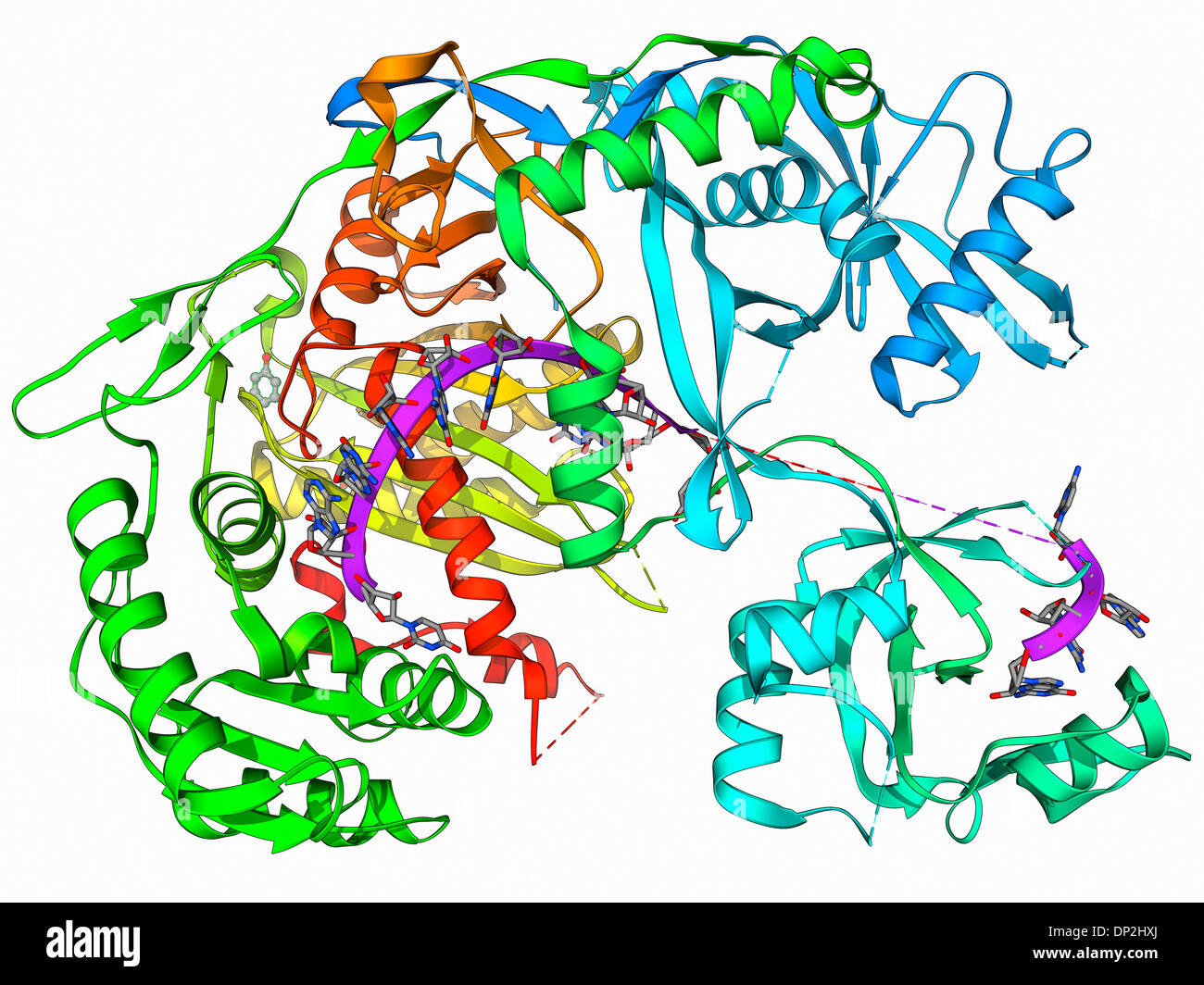 Argonaute protein and microRNA Stock Photo