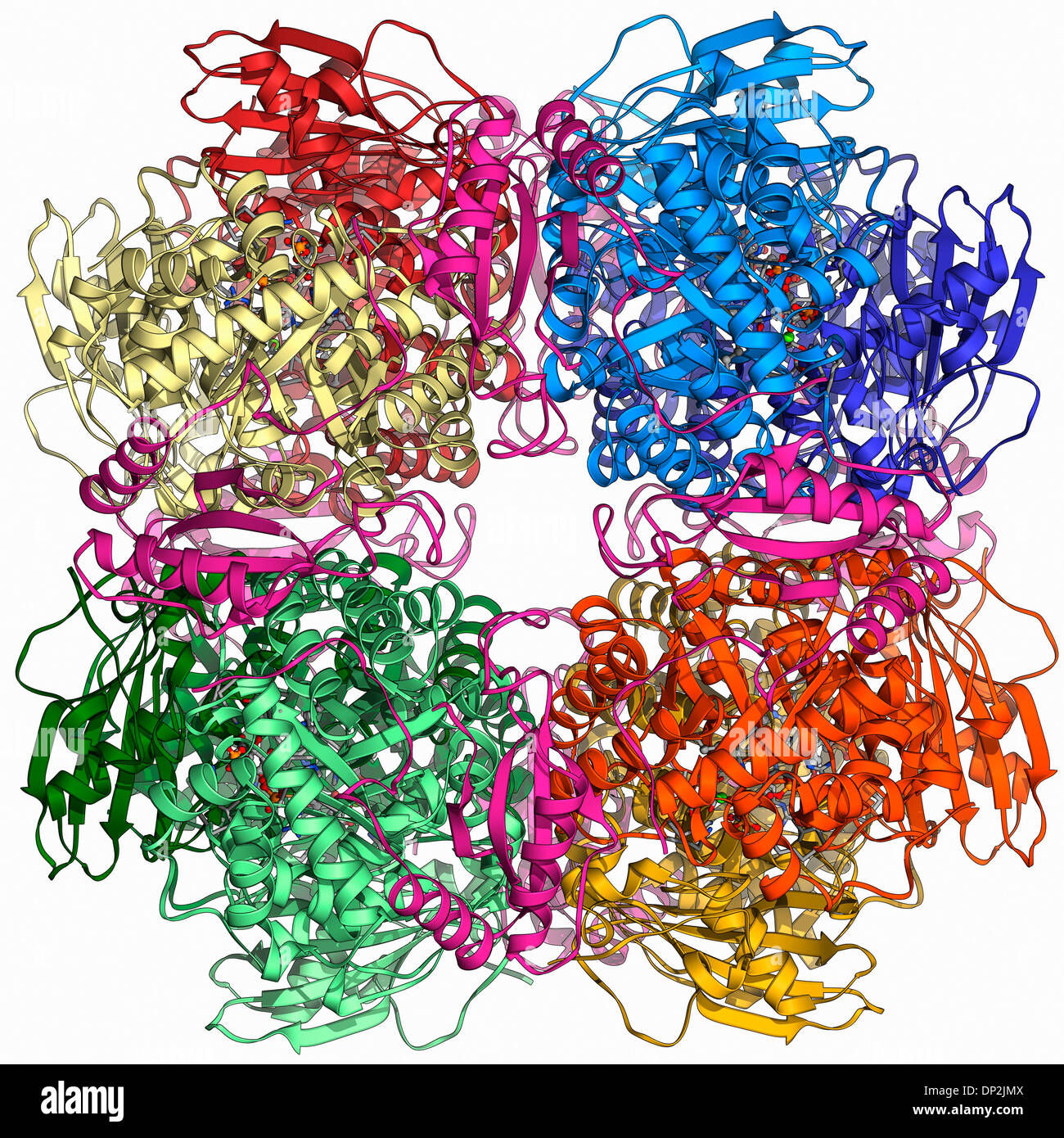 Rubisco enzyme molecule stock photo 65212138 alamy