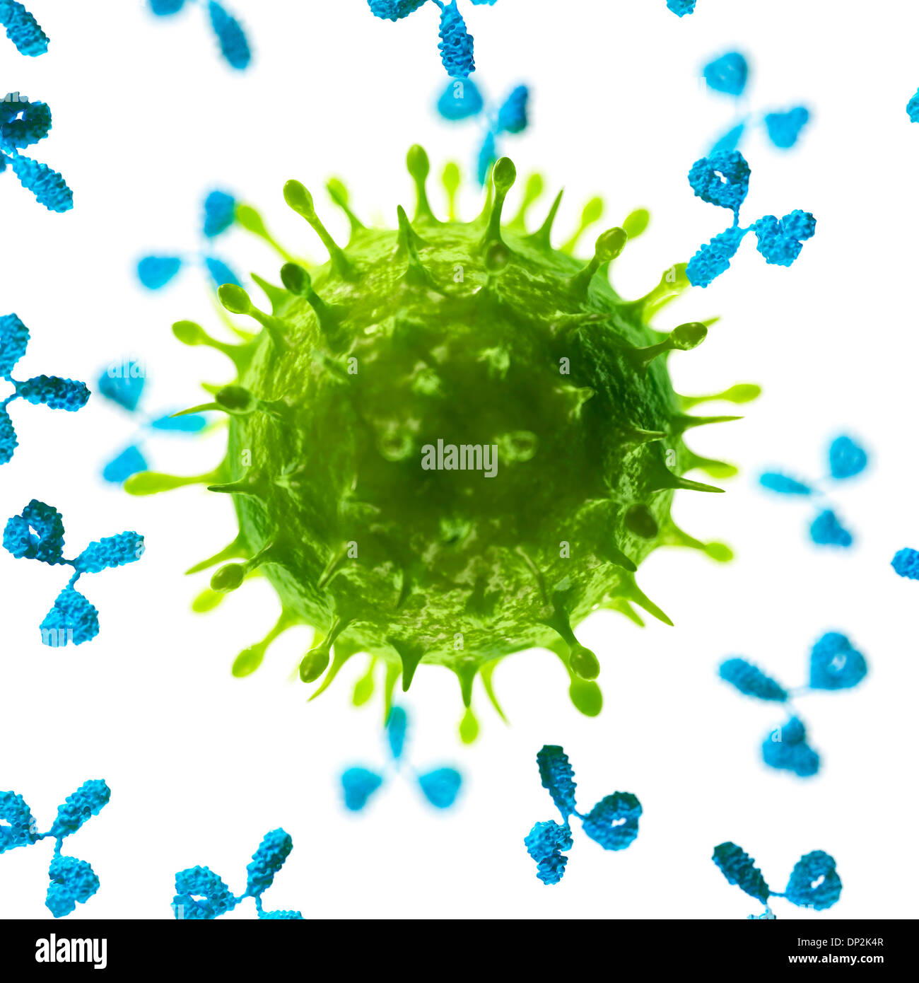Antibodies attacking a virus, artwork Stock Photo