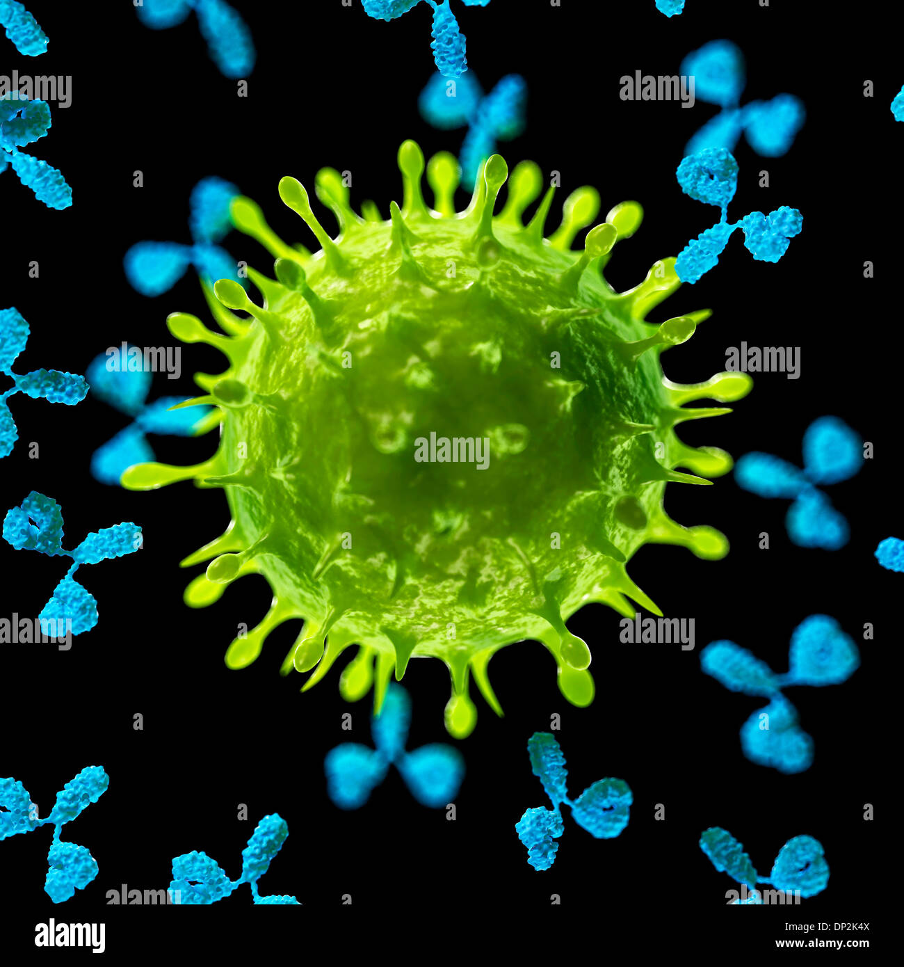 Antibodies attacking a virus, artwork Stock Photo Alamy