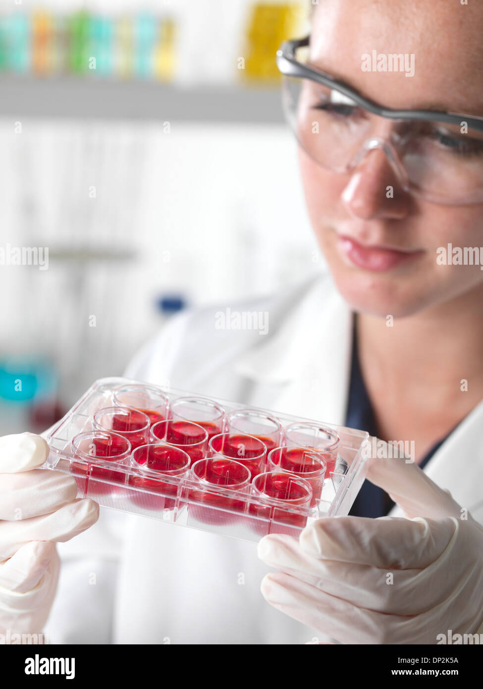 Stem cell research Stock Photo