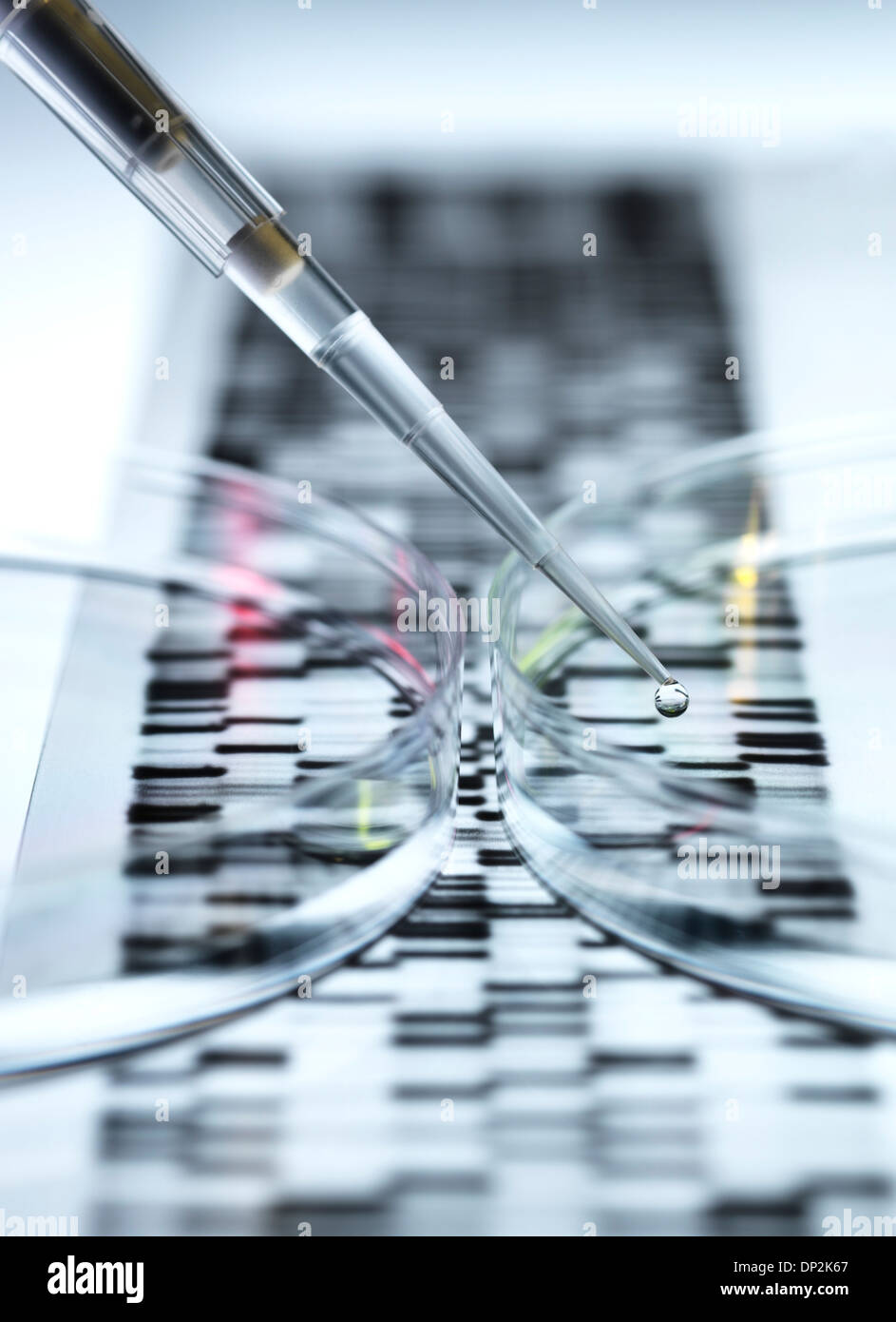 Genetic research Stock Photo