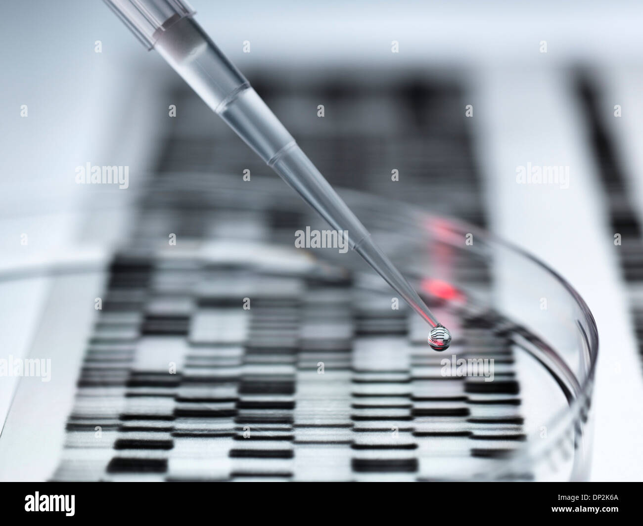 Genetic research Stock Photo