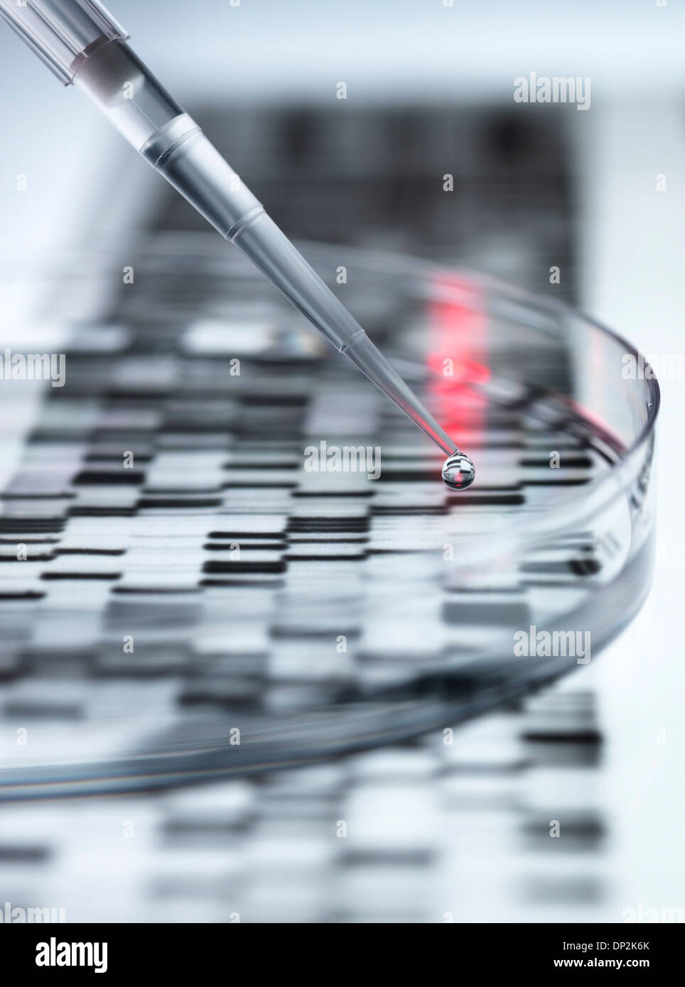 Genetic research Stock Photo