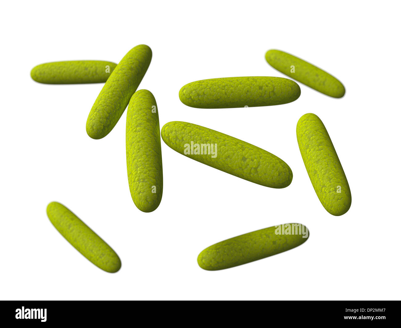 artwork Stock Photo 65213687 Alamy