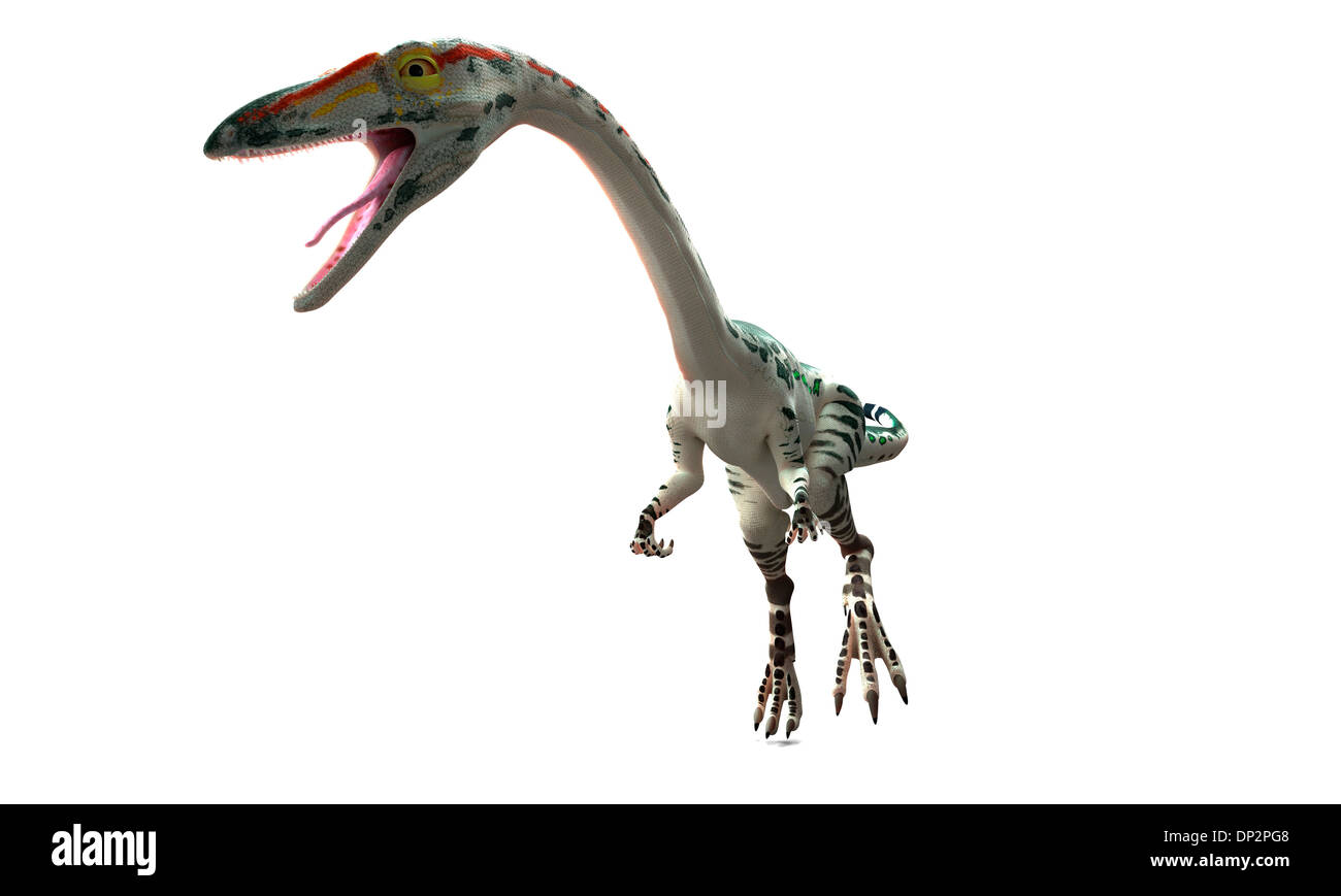 Coelophysis dinosaur, artwork Stock Photo
