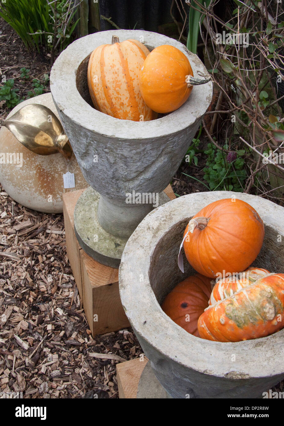 Two stone urns containing exotic fruit outdoors in a small garden Stock Photo