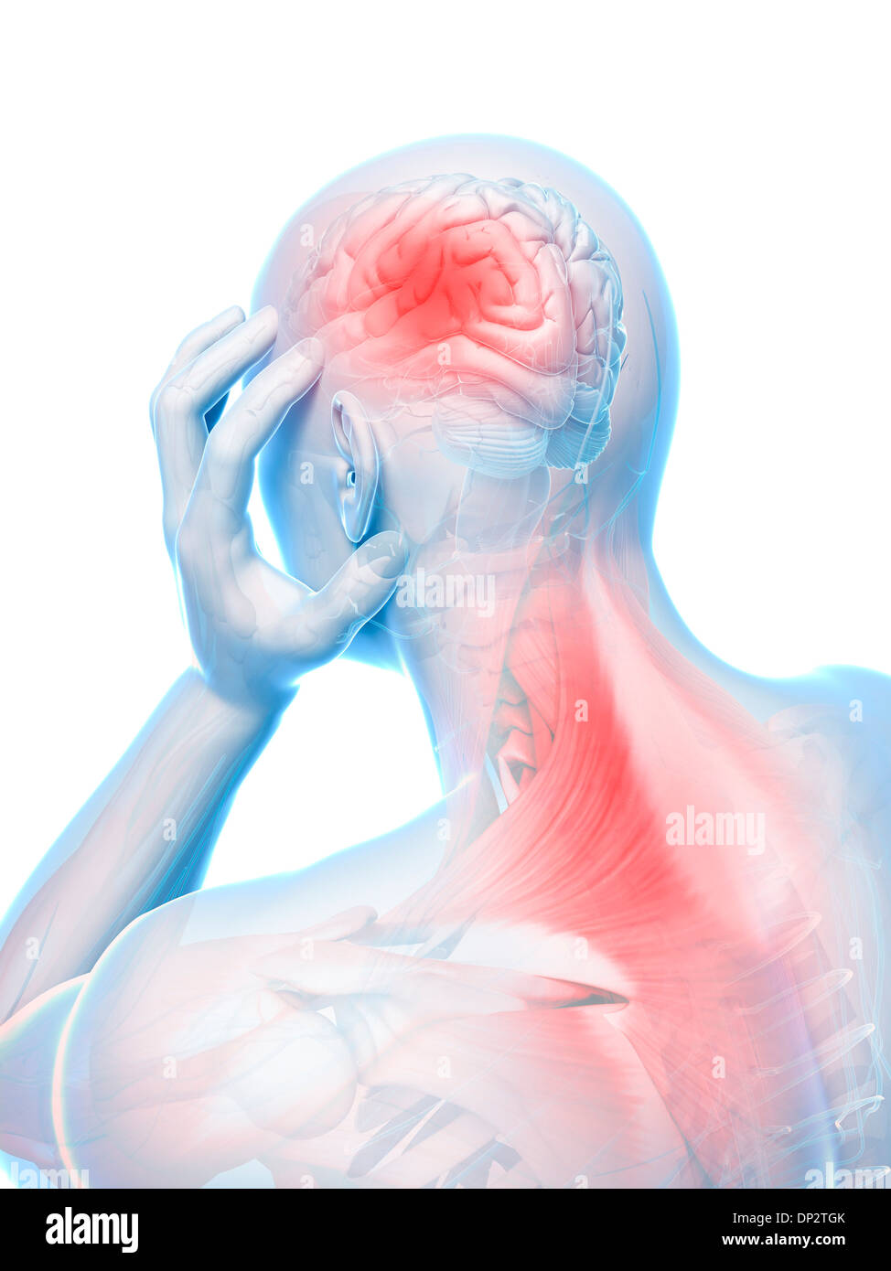 Pain and muscle pain hi-res stock photography and images - Alamy