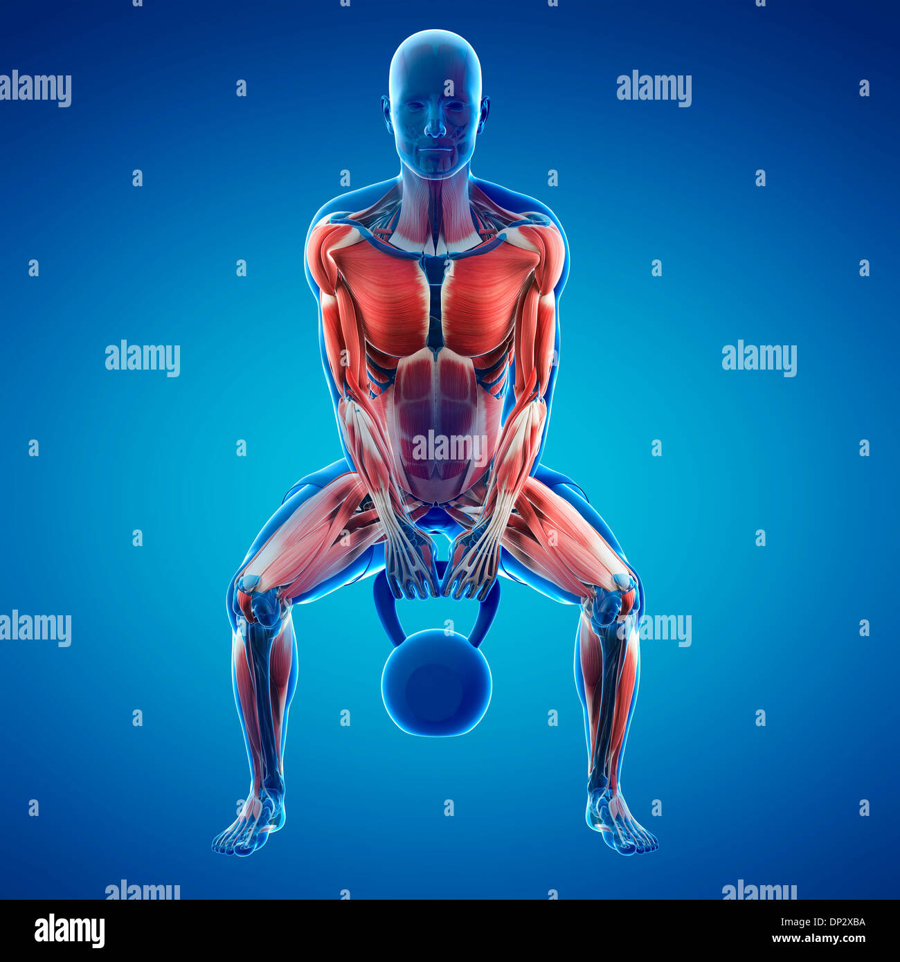 Kettlebell Artwork