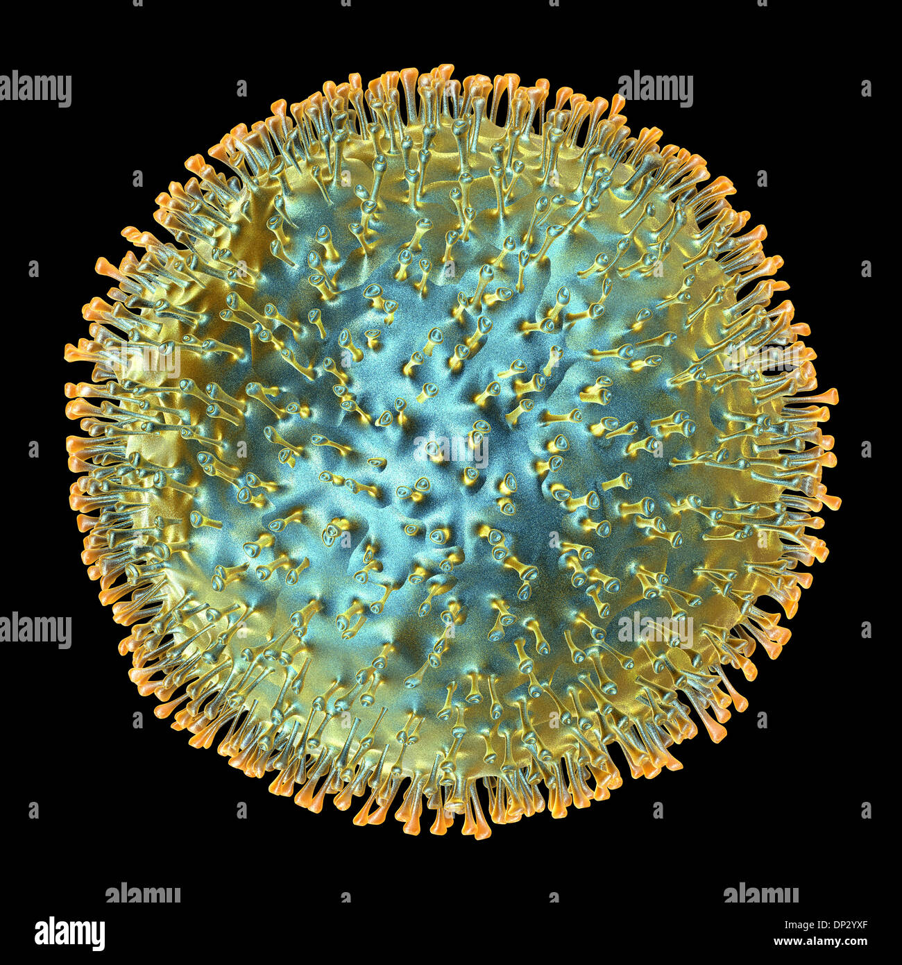 Avian influenza virus, artwork Stock Photo