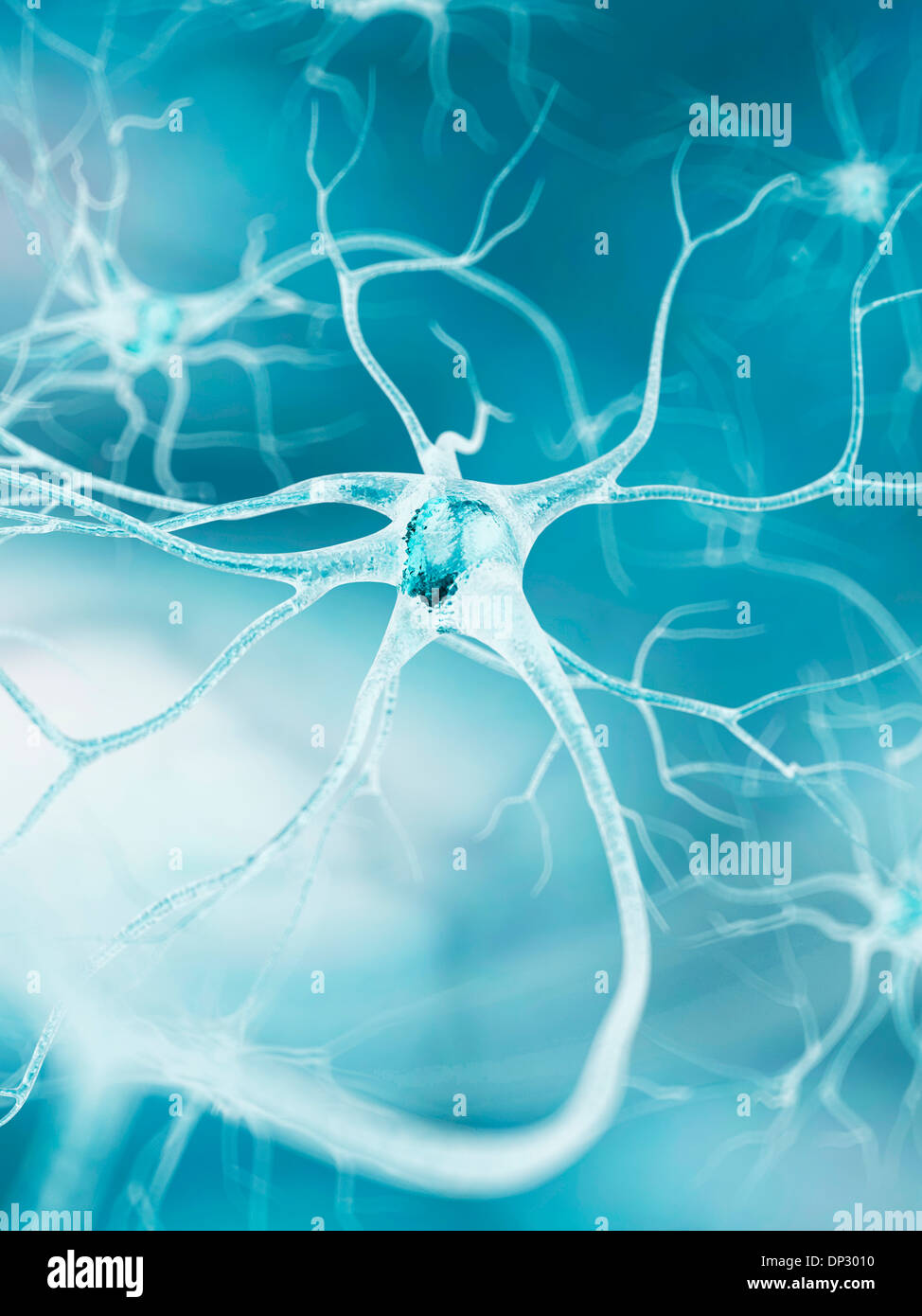 Nerve cell, artwork Stock Photo - Alamy